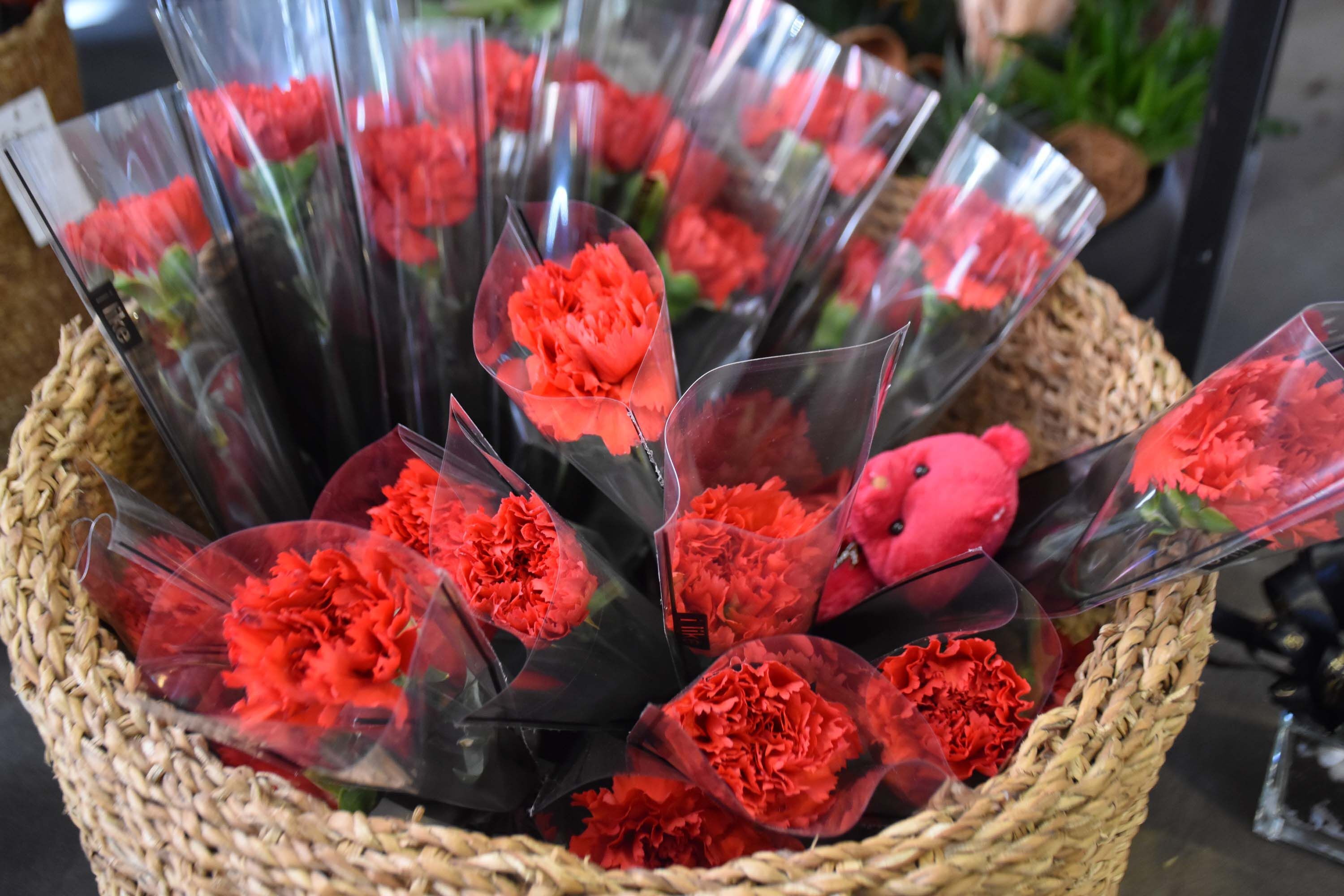 8 M A R T T A K I R M I Z I K A R A N F I L Y O G U N T A L E P 1200404 356999