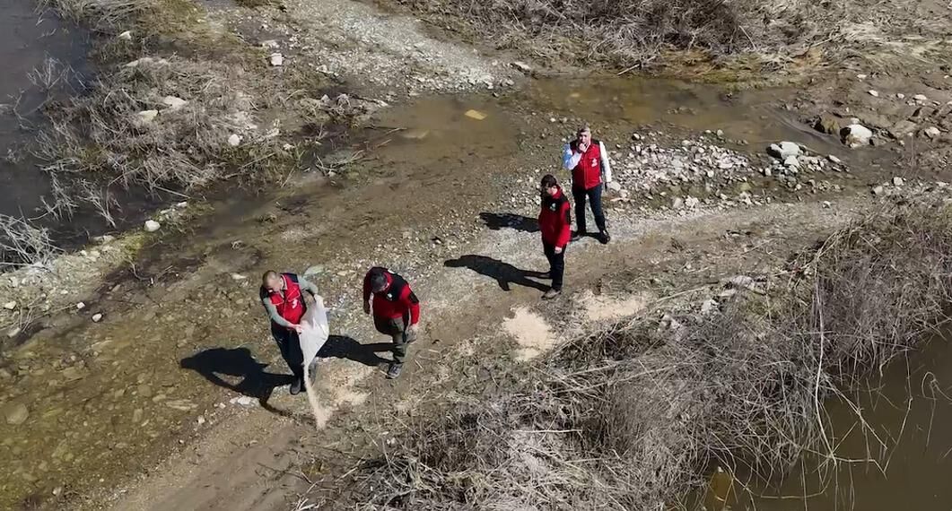 A Y D I N D A F L A M I N G O L A R I C I N Y E M L E M E C A L I S M 1237467 368040