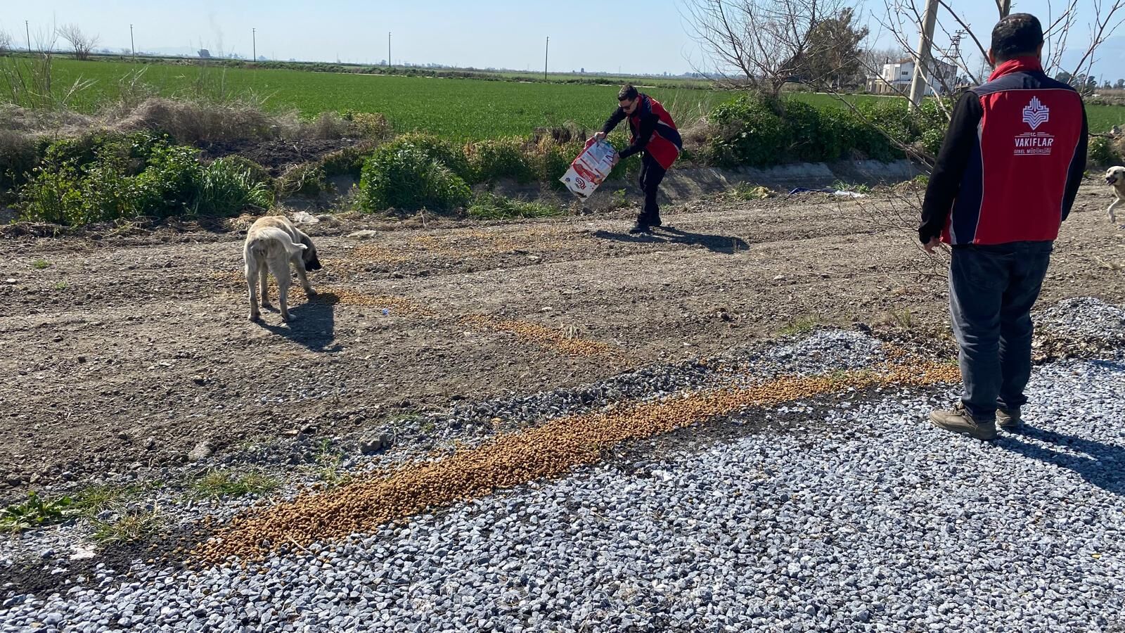 A Y D I N D A F L A M I N G O L A R I C I N Y E M L E M E C A L I S M 1237471 368040