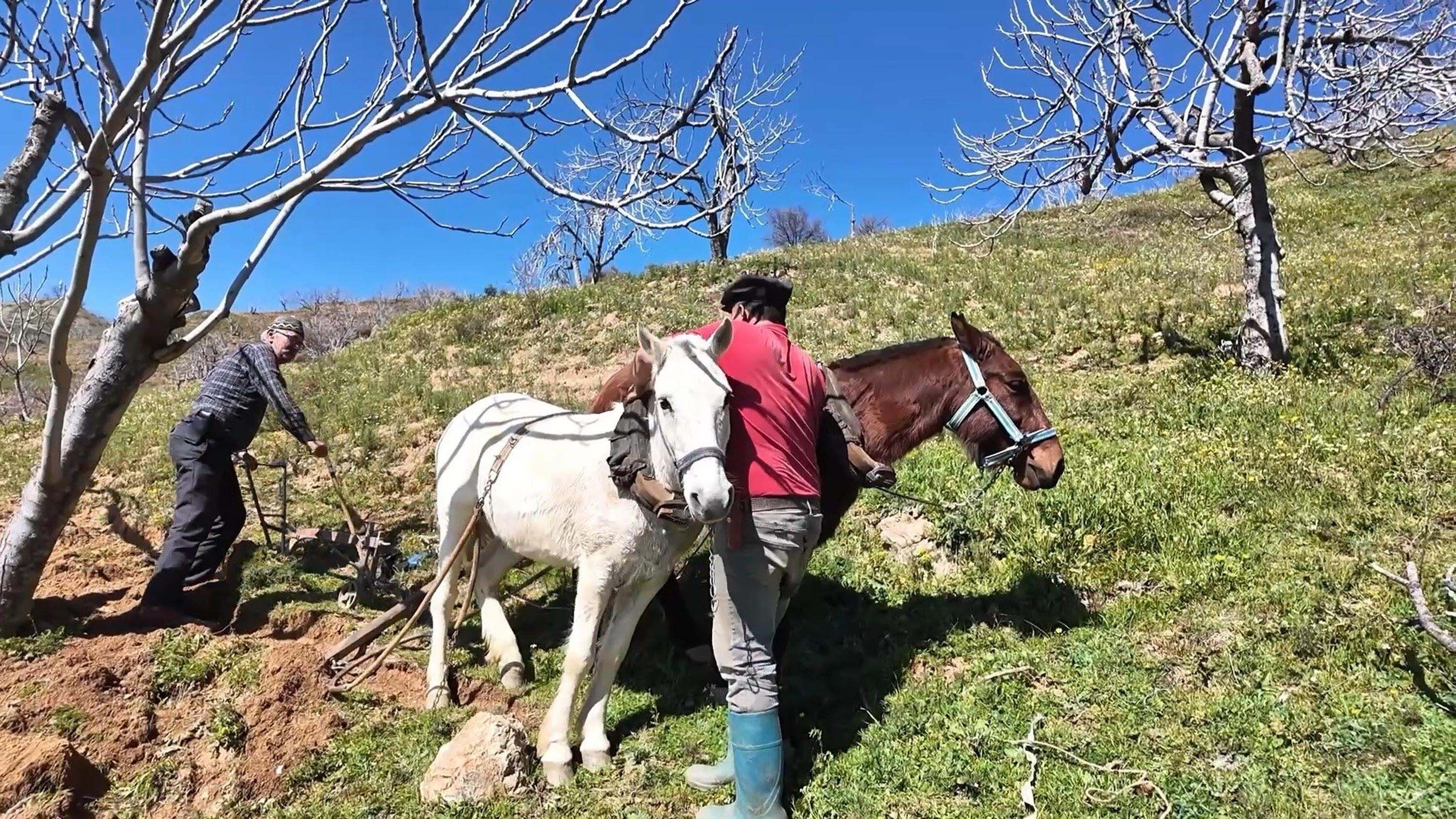 A Y D I N D A G U N L U K 8 B I N T L Y E A T I L E C I F T 1205356 358421