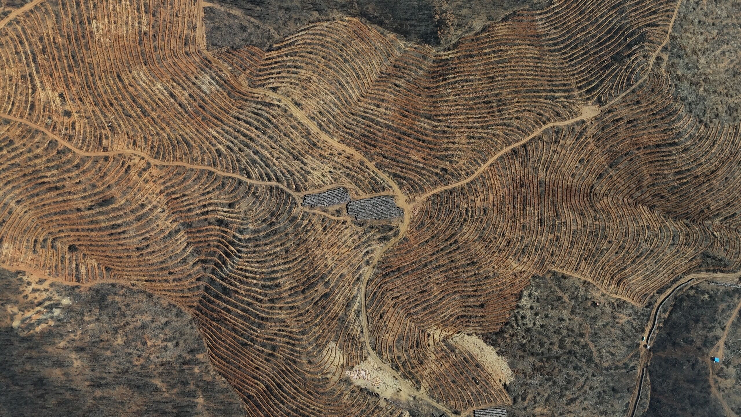 B U R S A D A Y A N A N O R M A N L A R A 8 A Y D A 2 M I L Y O N 1230316 365941