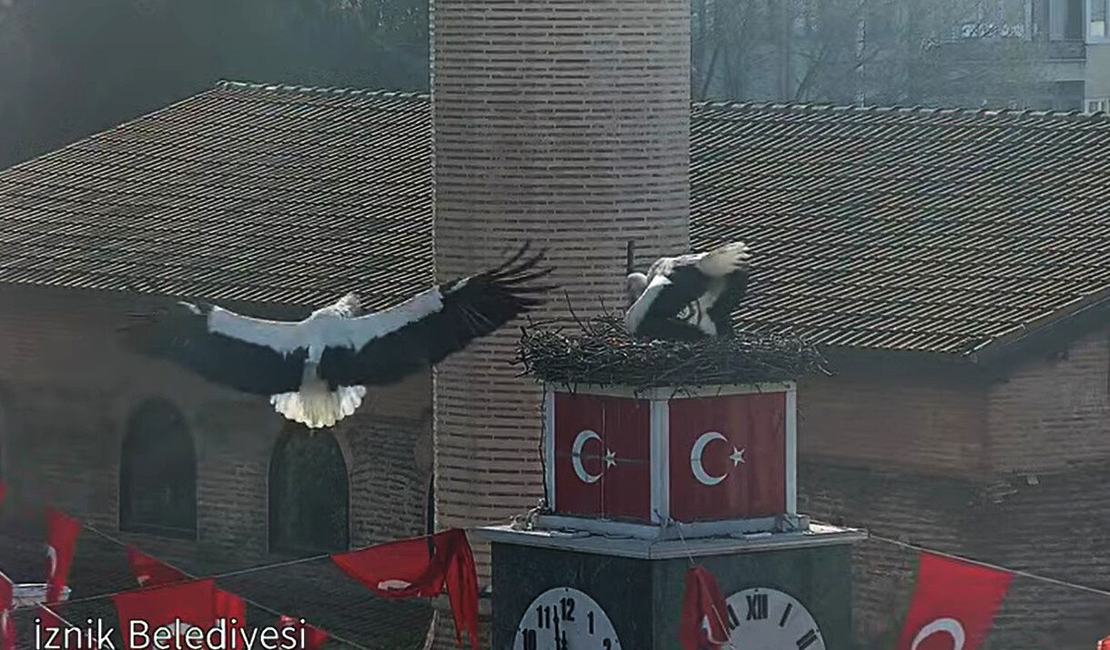 C A N V E C A N A N L E Y L E K 2 N C I Y I L L A R I N D A D A 1217166 361933