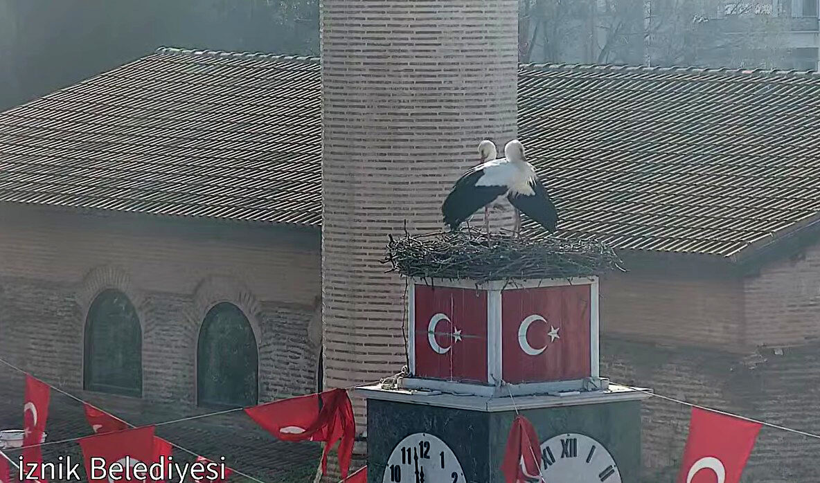 C A N V E C A N A N L E Y L E K 2 N C I Y I L L A R I N D A D A 1217168 361933