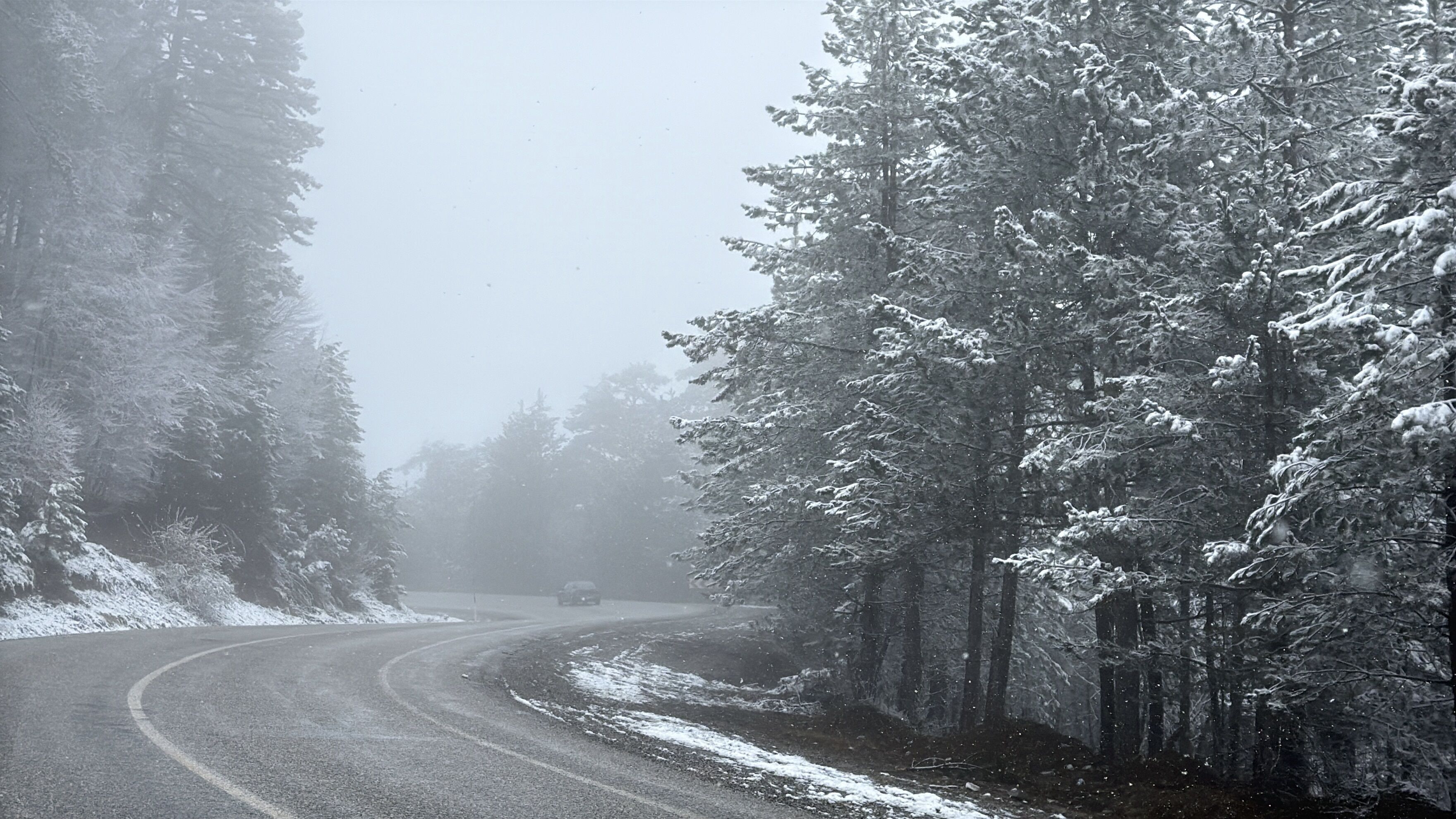 D O M A N I C I N E G O L Y O L U N D A K A R V E S I S 1236469 367721