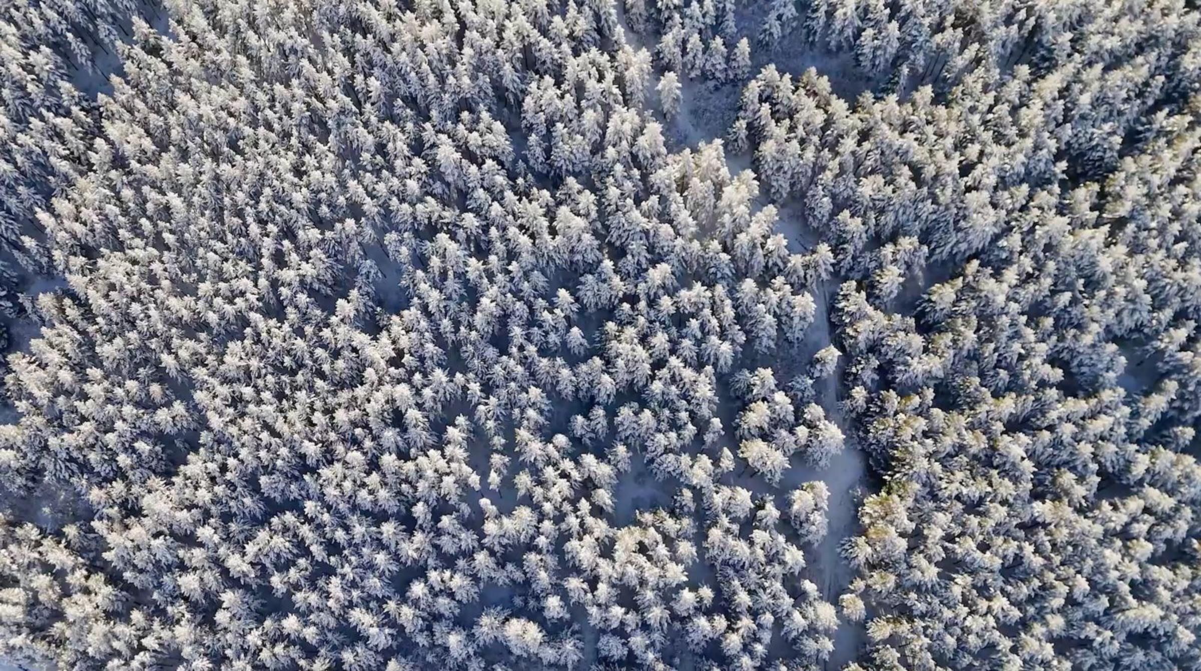 D U M A N L I T A B I A T P A R K I’ N D A T A B L O G I B I K I S 1191337 354035