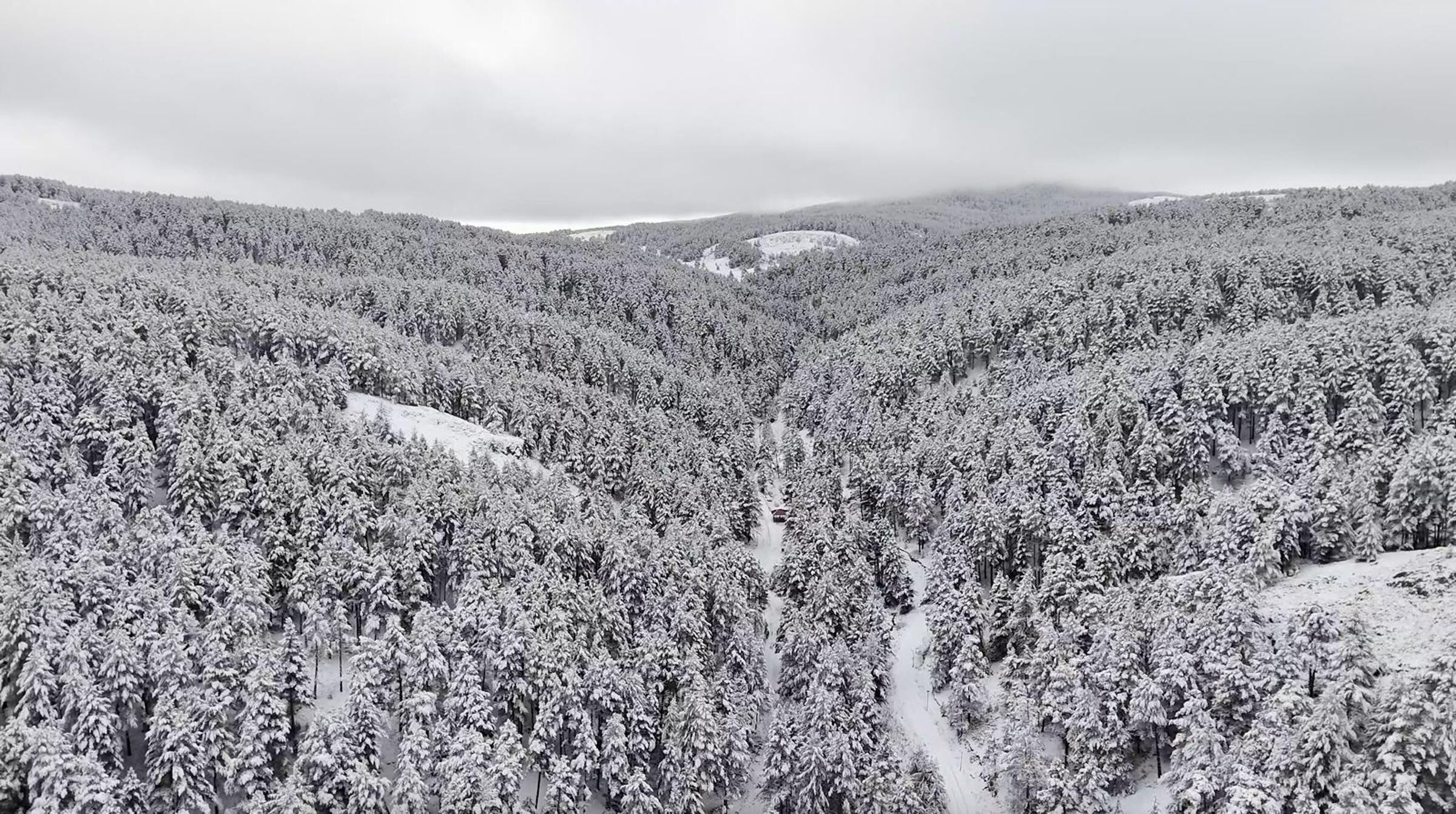 D U M A N L I T A B I A T P A R K I’ N D A T A B L O G I B I K I S 1191339 354035