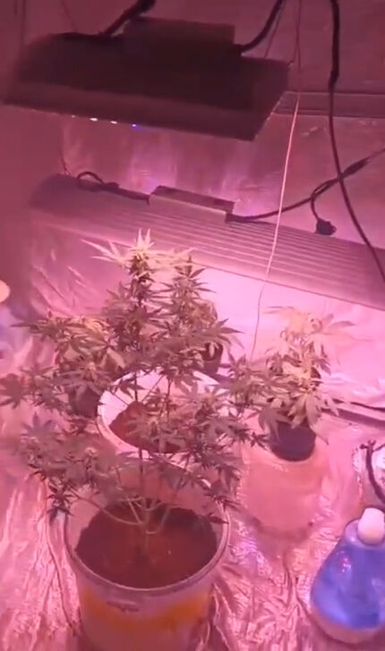 E V D E K I K E N E V I R S E R A S I N A J A N D A R M A B A S K I 1200873 357139