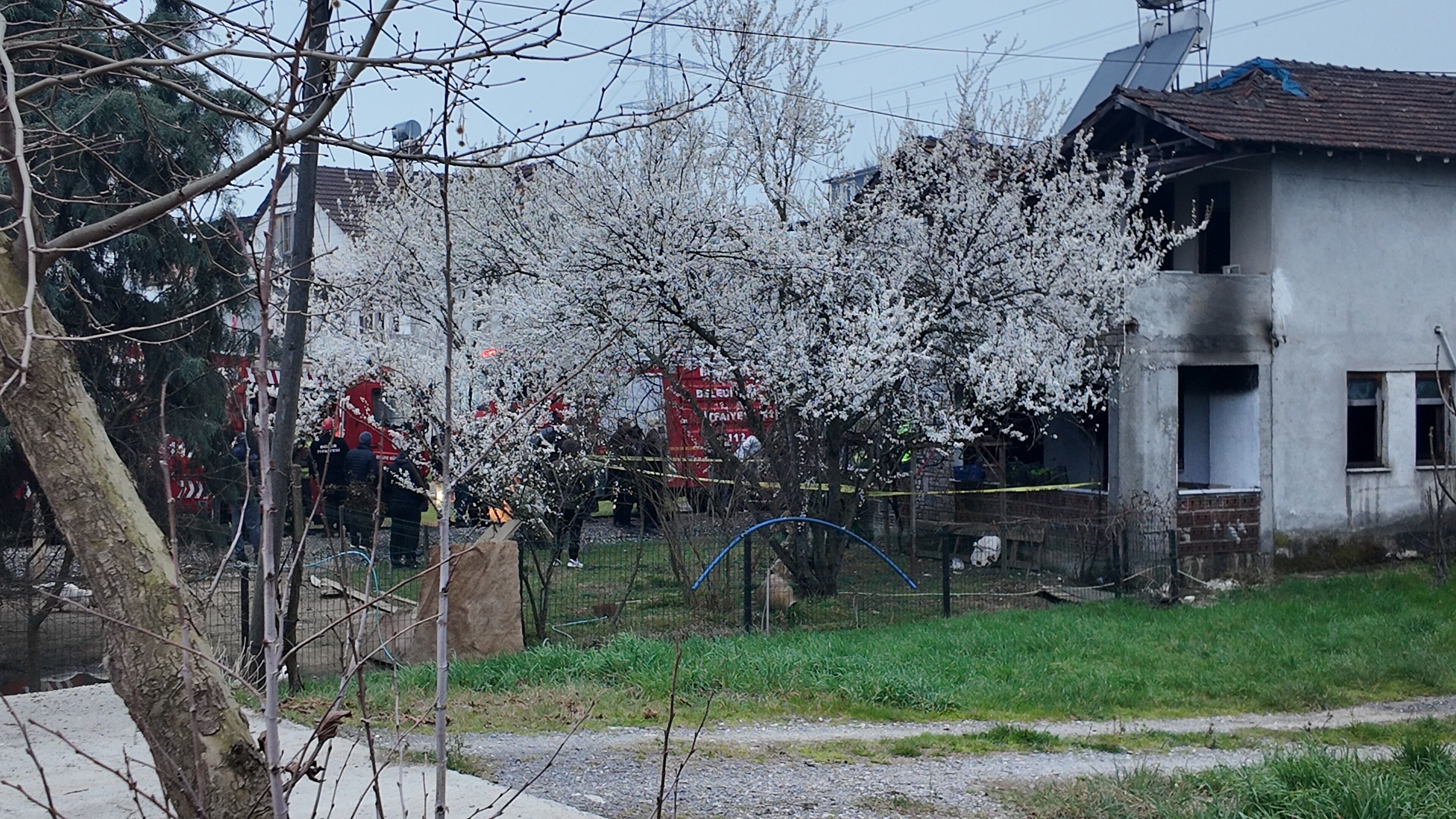 E V I N D E C I K A N Y A N G I N D A D U M A N D A N Z E H I R L E N E 1213479 360837