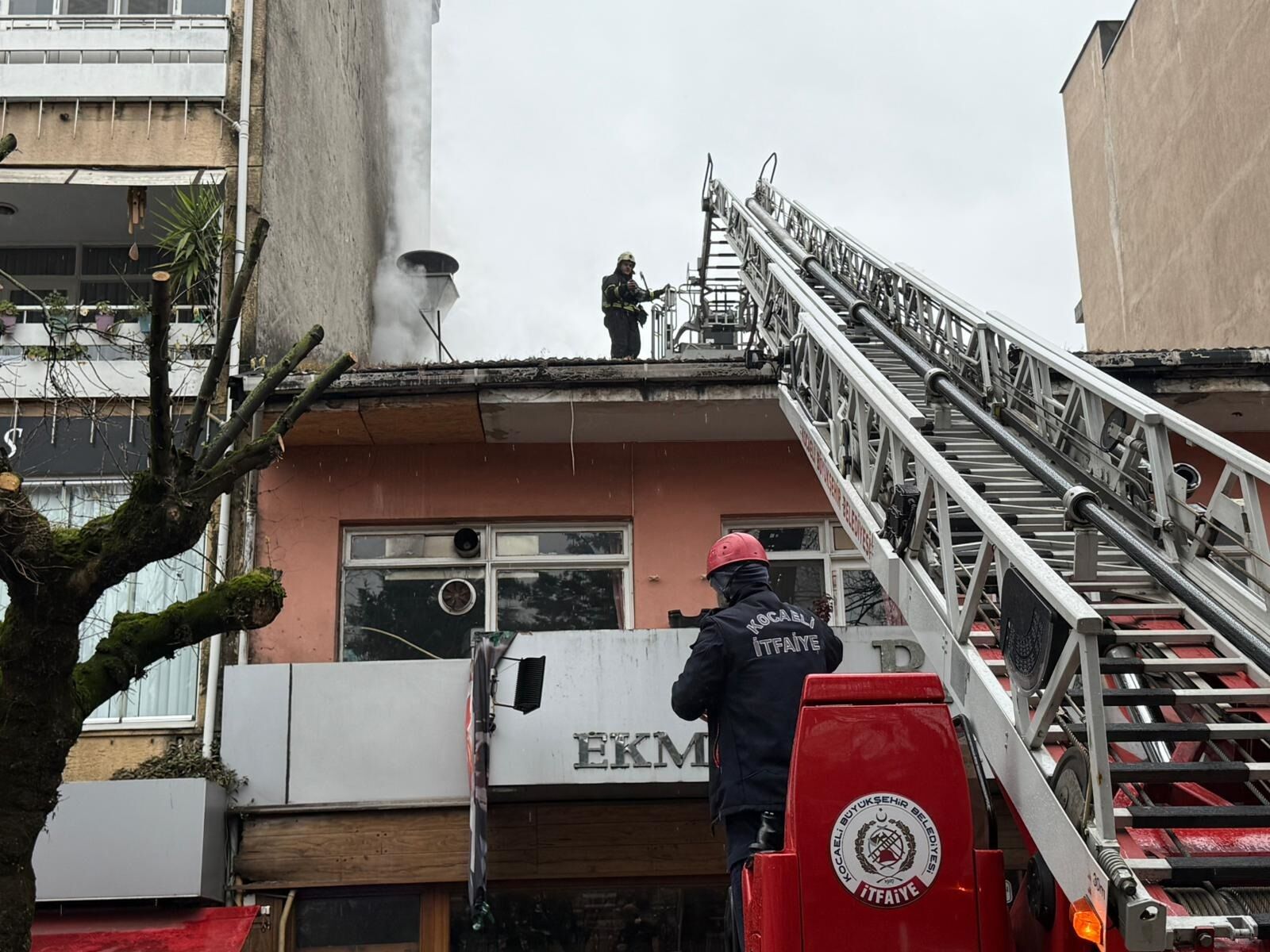 F I R I N B A C A S I T U T U S T U 3 K I S I D U M A N D A N E T 1233697 366908