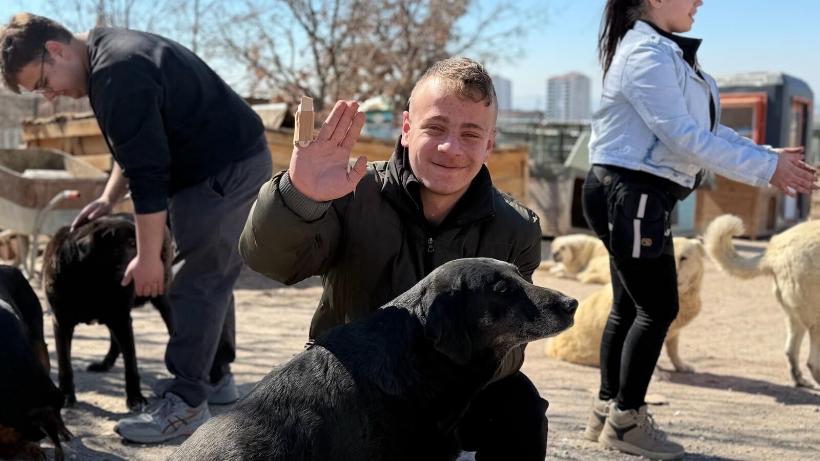 I S I T M E E N G E L L I O G R E N C I L E R D E N E N G E L L I K O 1204859 358266