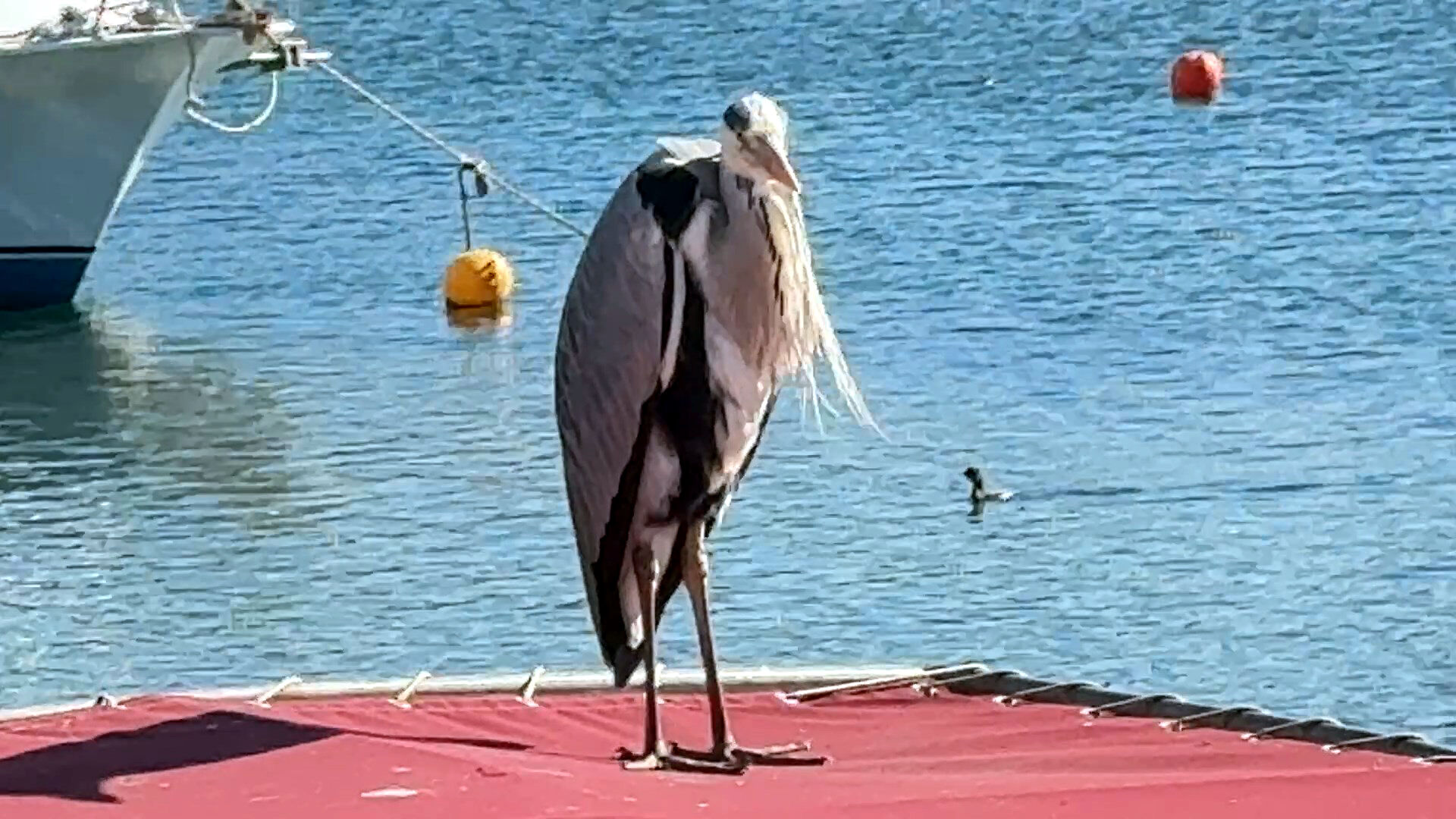 I S T A N B U L A V C I L A R D A C A B B A R I S I M L I B A 1205754 358548