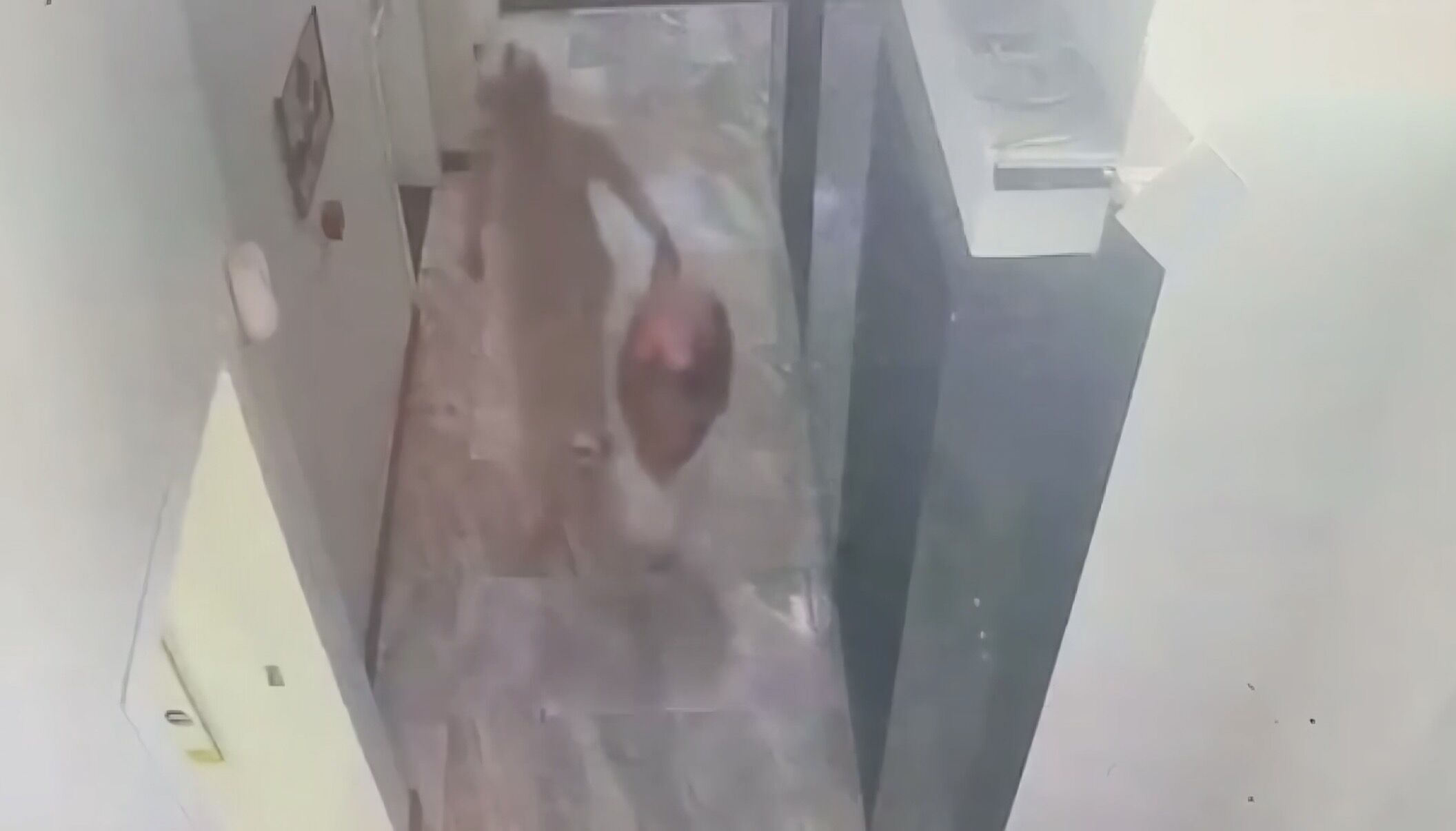 I S T A N B U L K A G I T H A N E’ D E O L E N A Y S E G U L E R A 1213275 360777