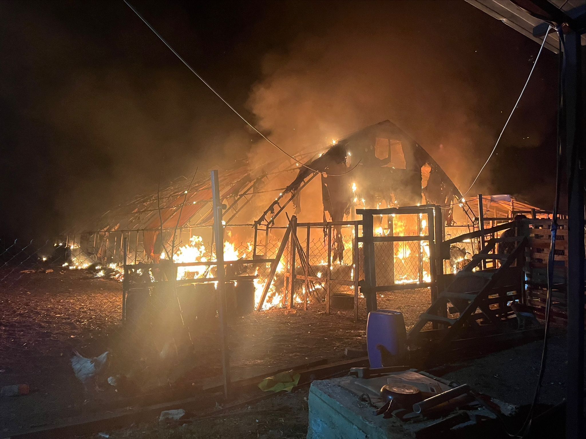 Kanatlı Ve Küçükbaş Hayvan Çiftliğinde Yangın: 580 Hayvan Öldü