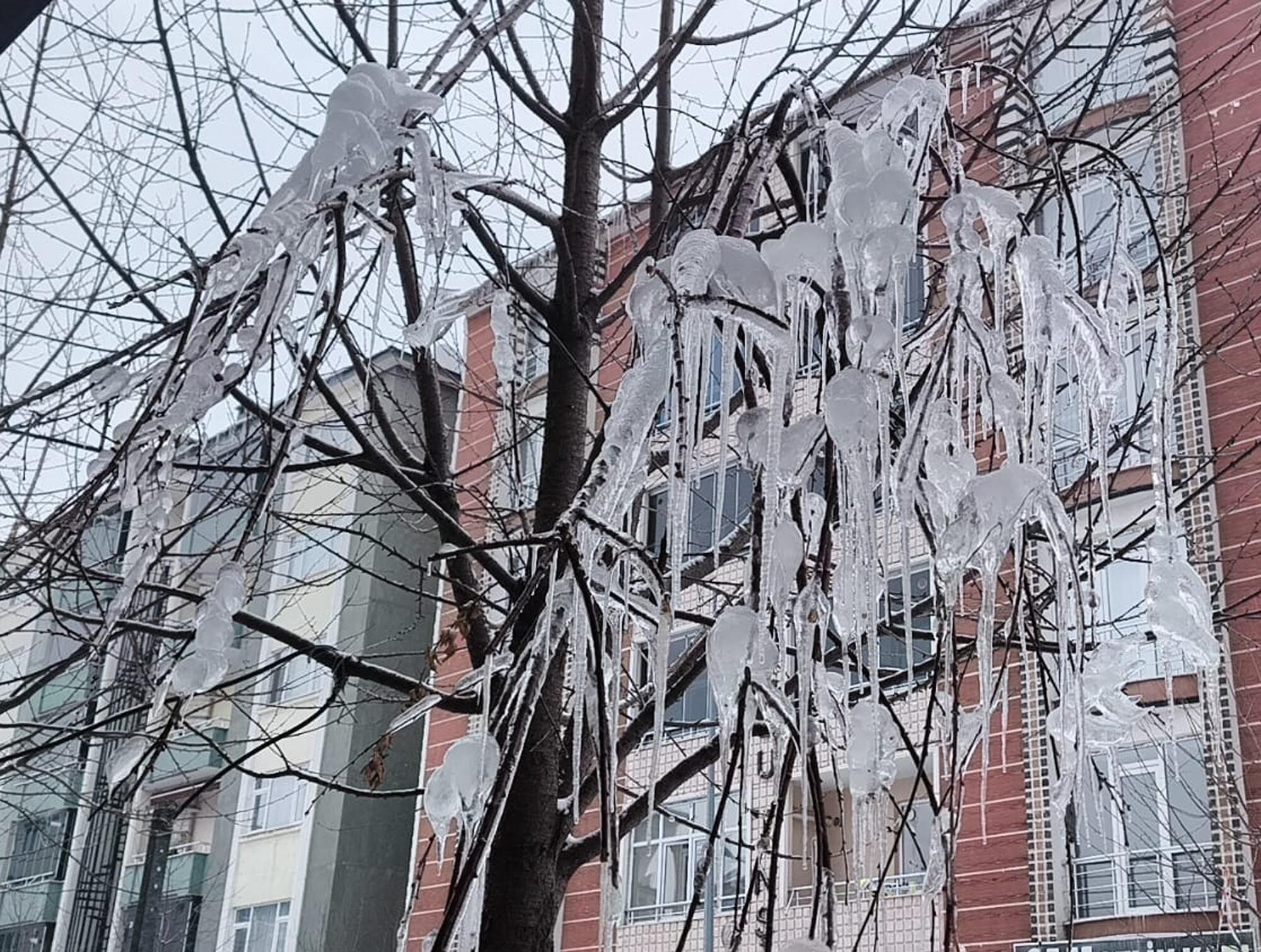 K A R S T A A G A C L A R B U Z T U T T U 1212064 360434