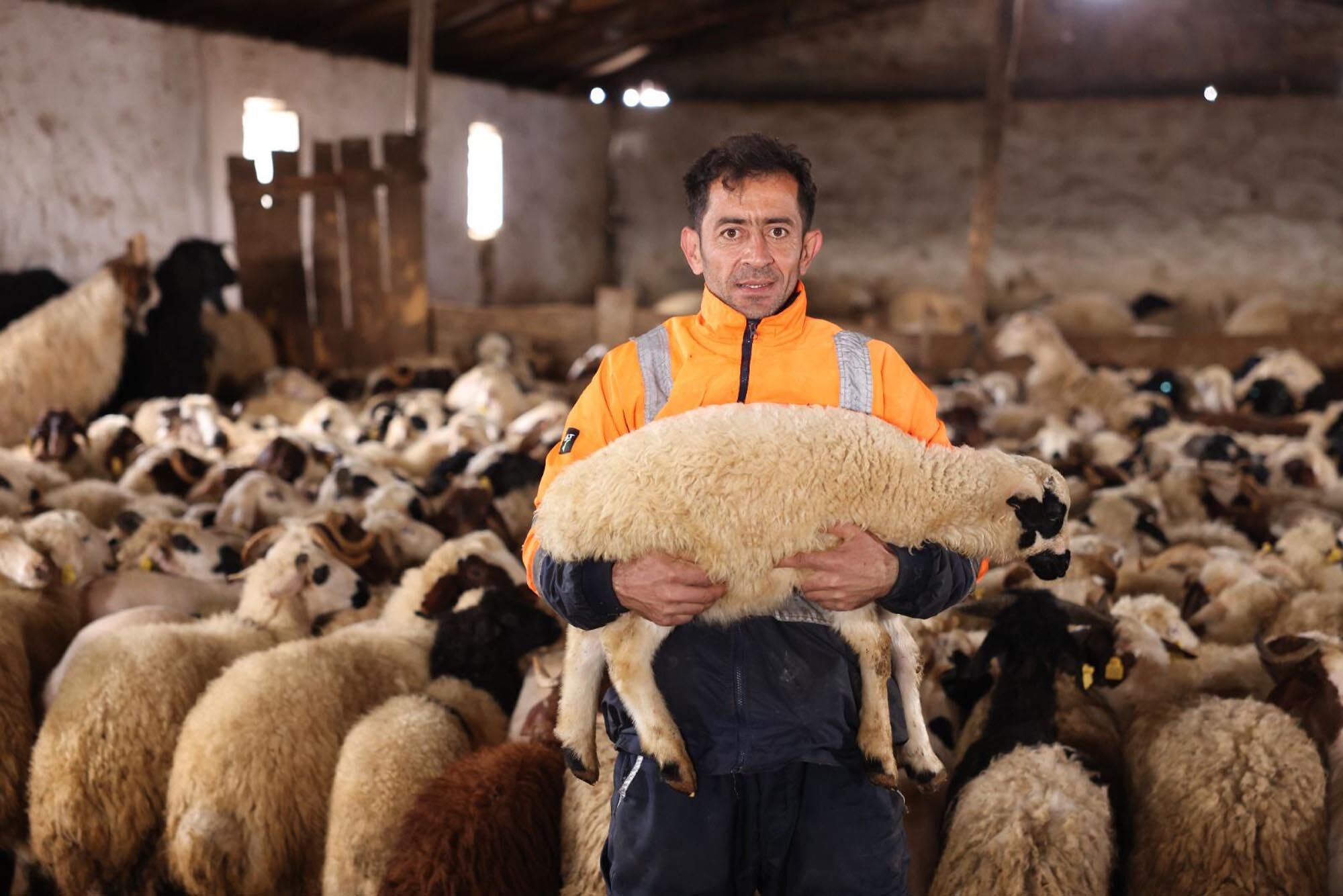 K A R S’ T A K O Y U N K I R K I M S E Z O N U B A S L A D I 1234146 367023