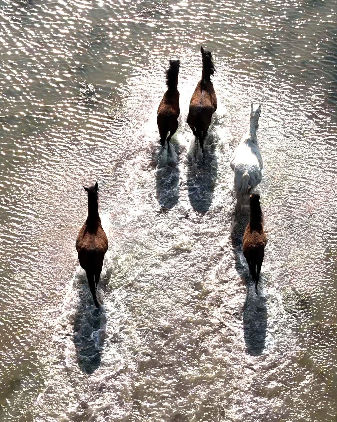 K I Z I L I R M A K D E L T A S I’ N D A Y I L K I A T L A R I D R O N 1234090 367012