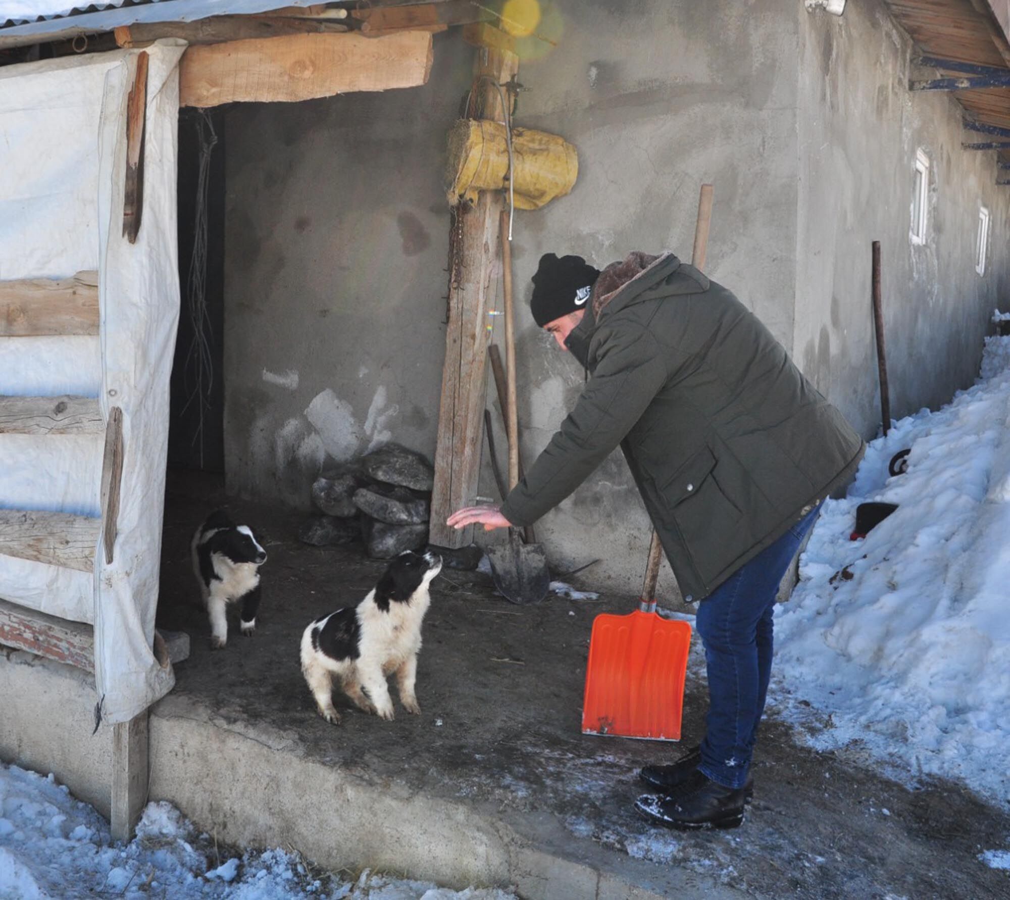 K O P E K L E R I N E S A L D I R A N K U R T L A R I K U R E K L E K O 1197827 356192