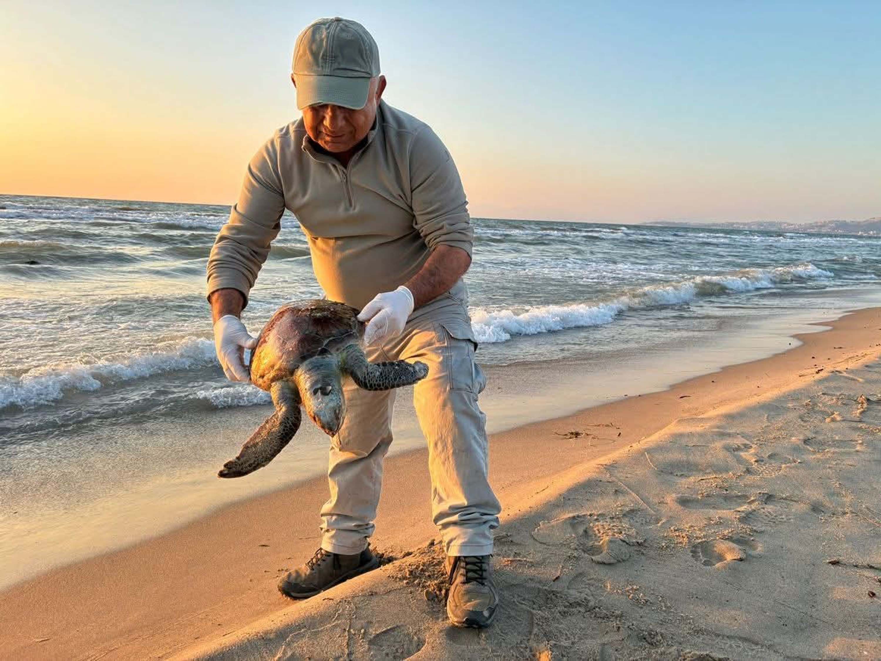 K U S A D A S I’ N D A A Y N I G U N 3 D E N I Z K A P L U M B A G A 1214081 361022