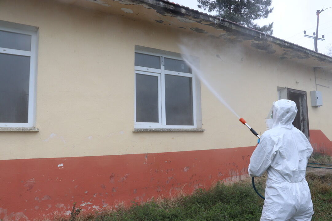 Kahverengi Kokarcalar Kislaklardan Cikma 1230258 365926 (1)