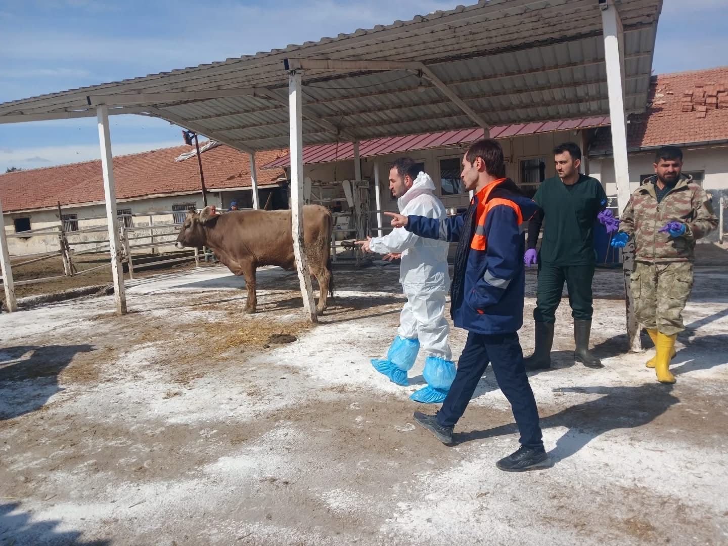 M A L A T Y A T I G E M D E S A P H A S T A L I G I B O L G E K A 1230573 366040