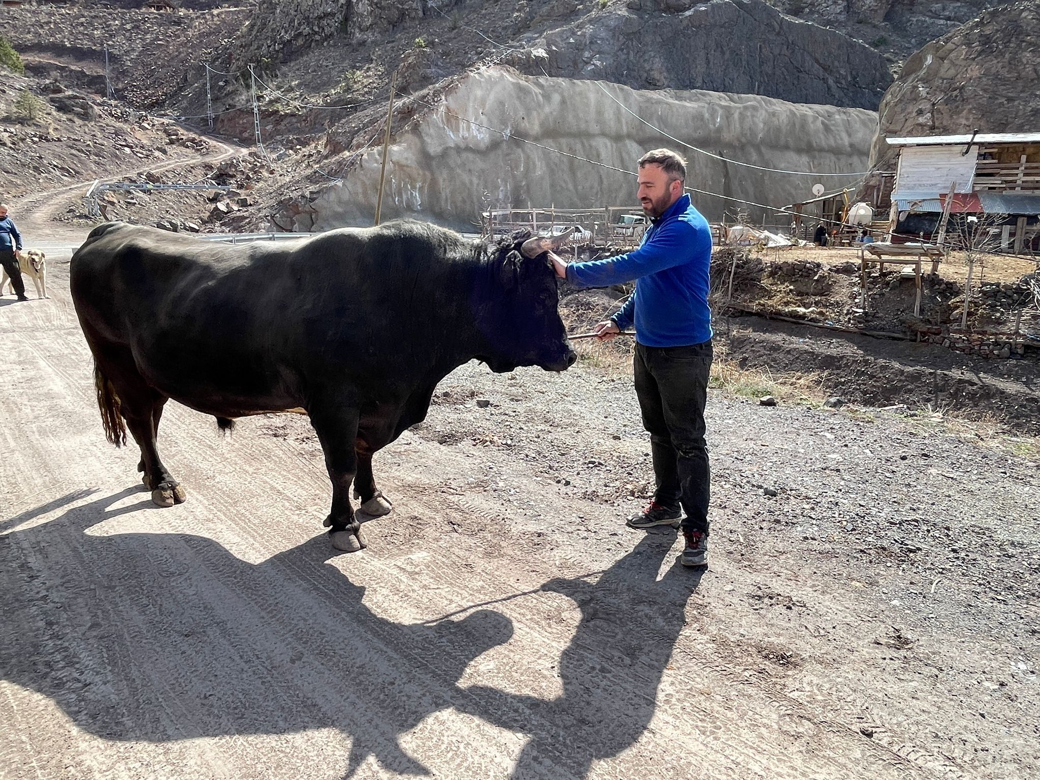 M E N U S U N D E F I N D I K V E P E K M E Z O L A N B O G A L A R 1202298 357499