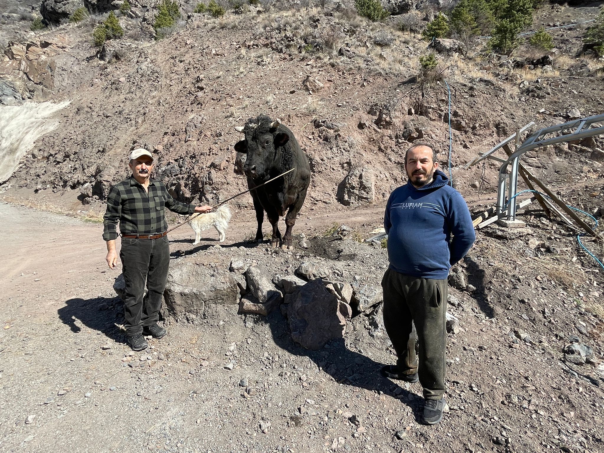 M E N U S U N D E F I N D I K V E P E K M E Z O L A N B O G A L A R 1202301 357499