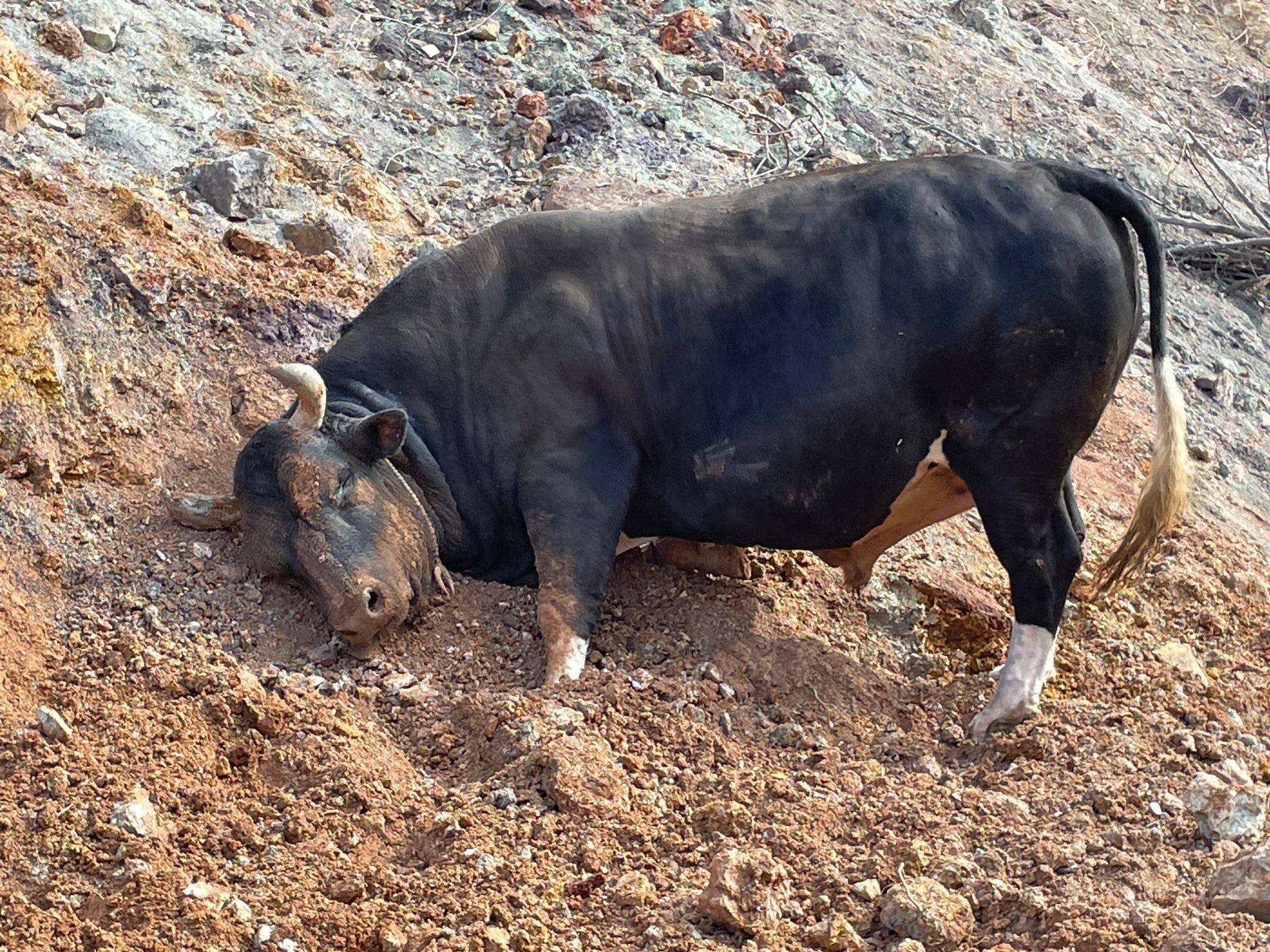 M E N U S U N D E F I N D I K V E P E K M E Z O L A N B O G A L A R 1213223 357499