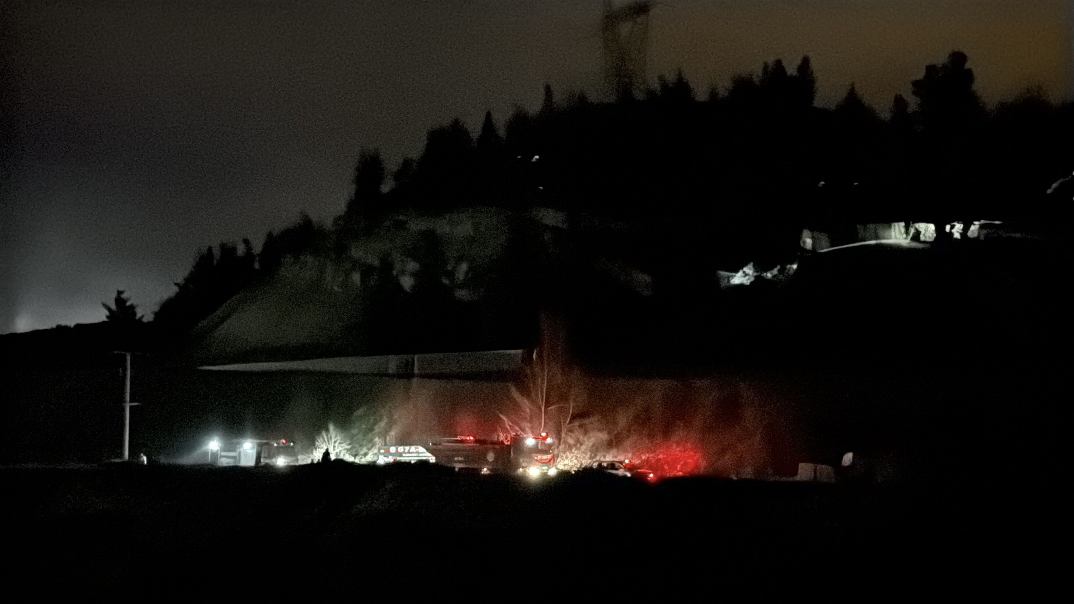 O R M A N D A C I K A N O R T U Y A N G I N I S O N D U R U L D U 1233982 366984