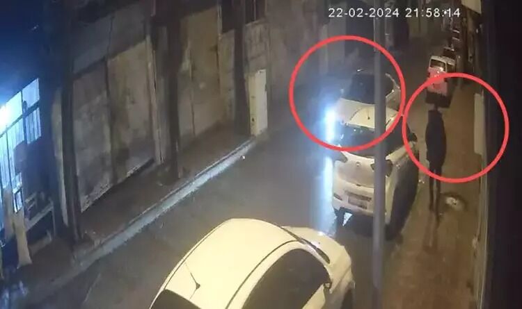 P I N A R H E M S I R E Y I O L D U R D U G U I D D I A E D I L E N E 1200693 357085