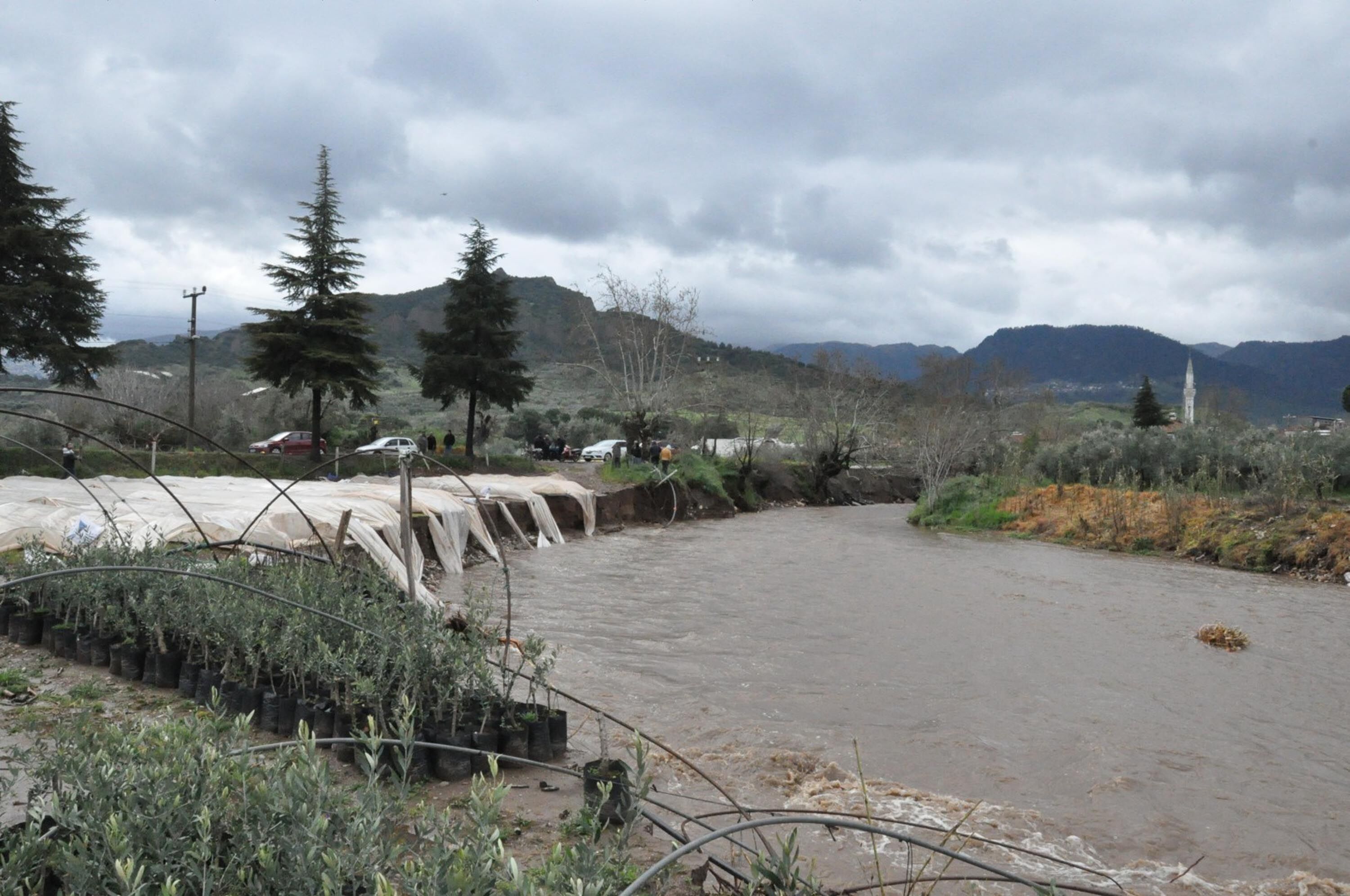 S A L I H L I D E D E R E L E R T A S T I T A R I M A R A Z I L E R 1234803 367218