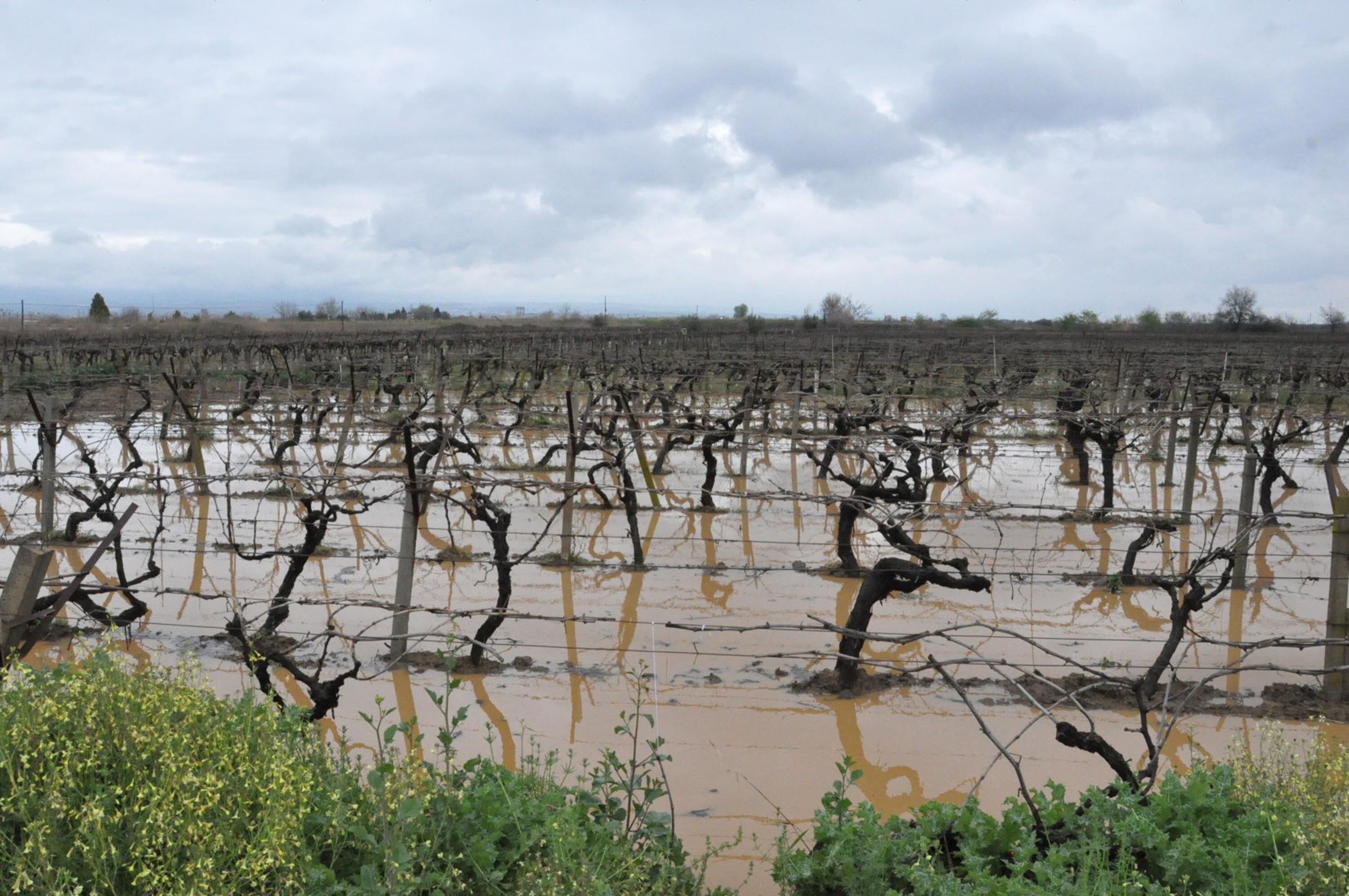 S A L I H L I D E D E R E L E R T A S T I T A R I M A R A Z I L E R 1234805 367218