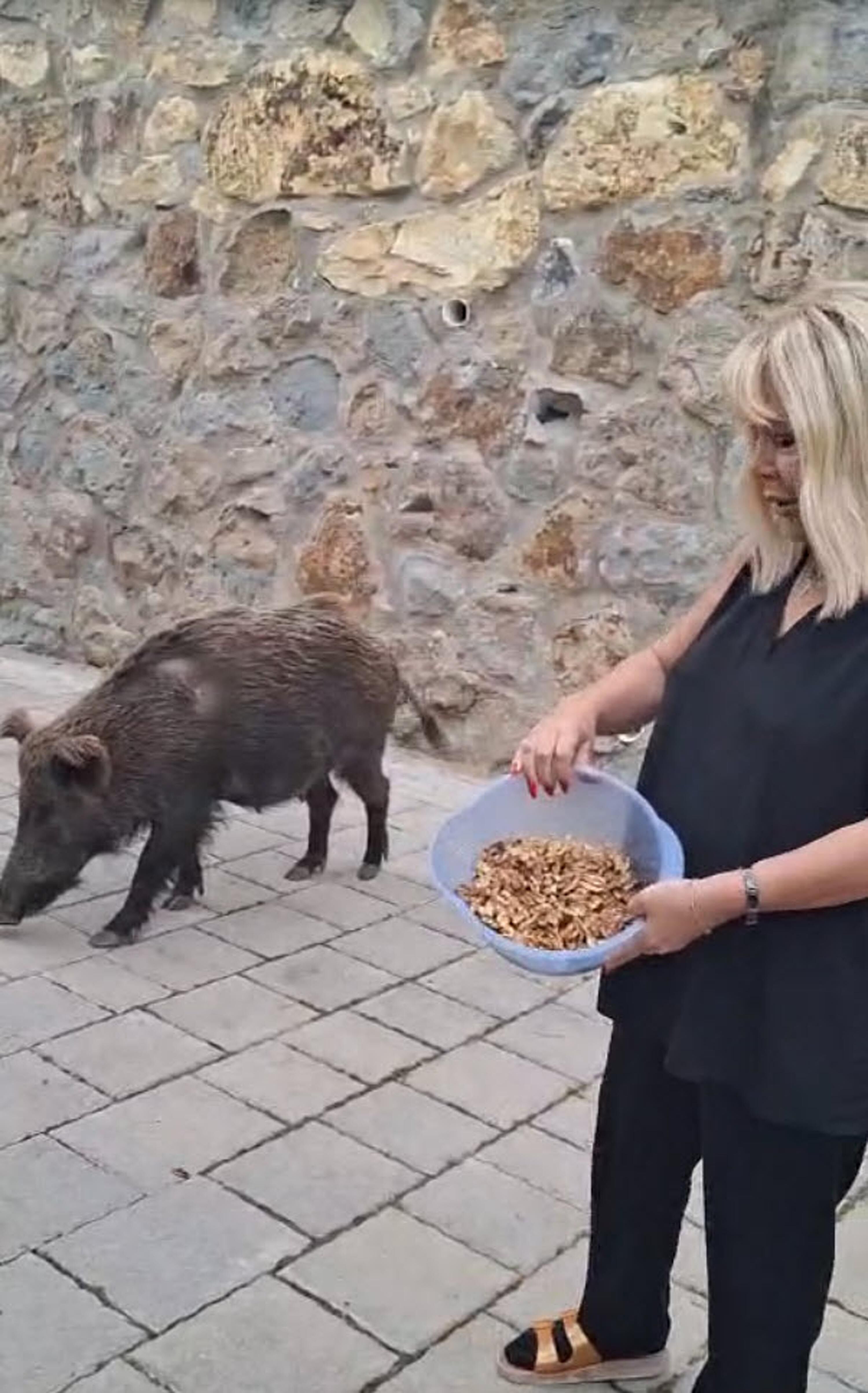 S A R K I C I S A F I Y E S O Y M A N K A P I S I N A G E L E N Y A 1225658 364445