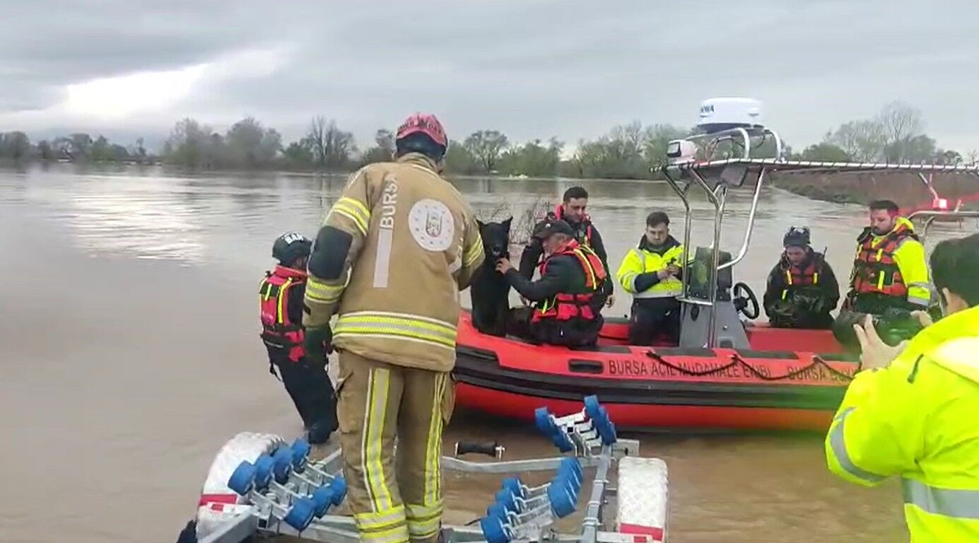 S U B A S K I N I N D A M A H S U R K A L A N I K I K O P E K B O T 1236878 367845