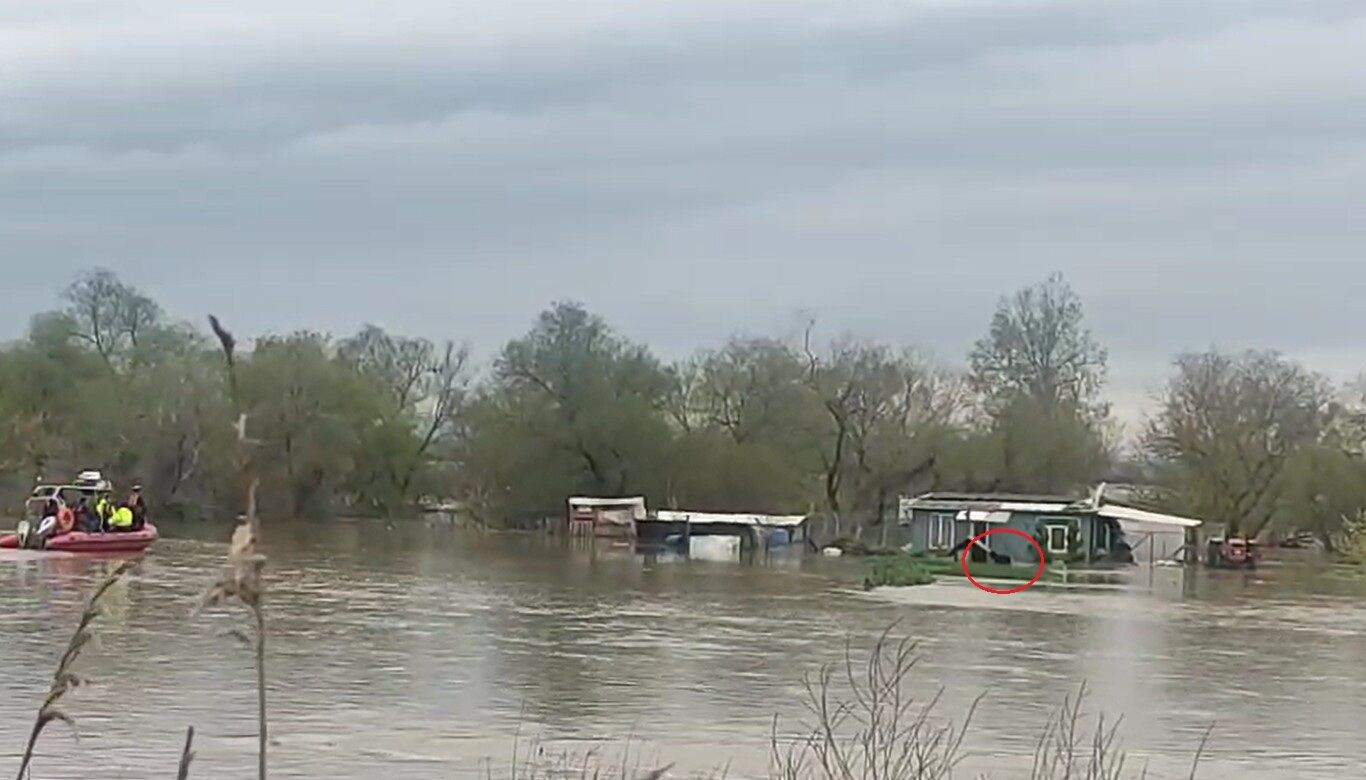 S U B A S K I N I N D A M A H S U R K A L A N I K I K O P E K B O T 1236879 367845