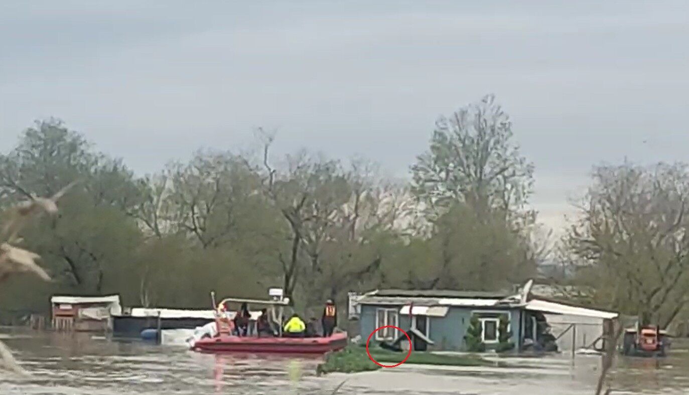 S U B A S K I N I N D A M A H S U R K A L A N I K I K O P E K B O T 1236880 367845