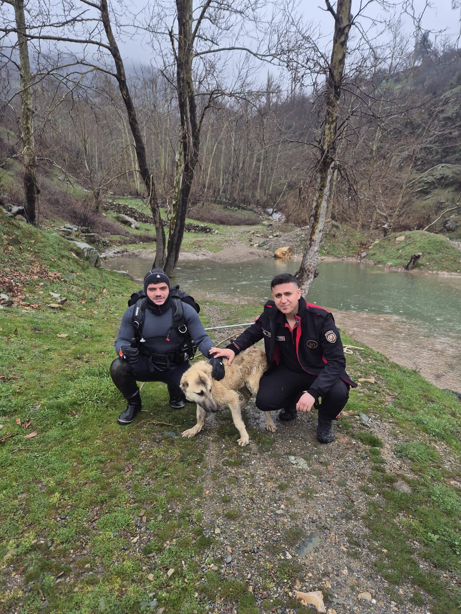 Suyla Çevrili Alanda Mahsur Kalan Köpek İtfaiye Tarafından Kurtarıldı