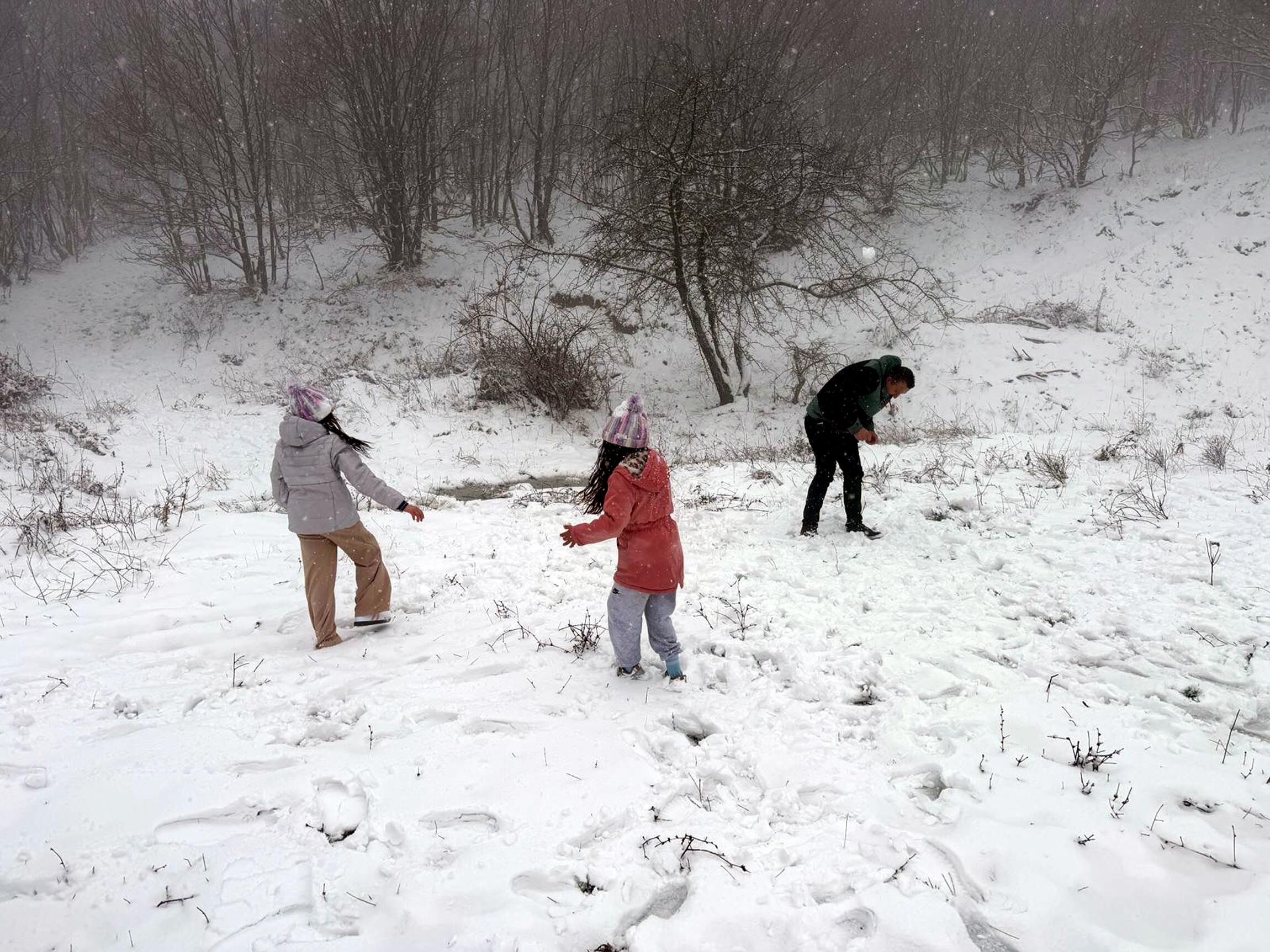 T E K I R D A G D A G A N O S D A G I N D A K A R K A L I N L I G I 1222204 363408