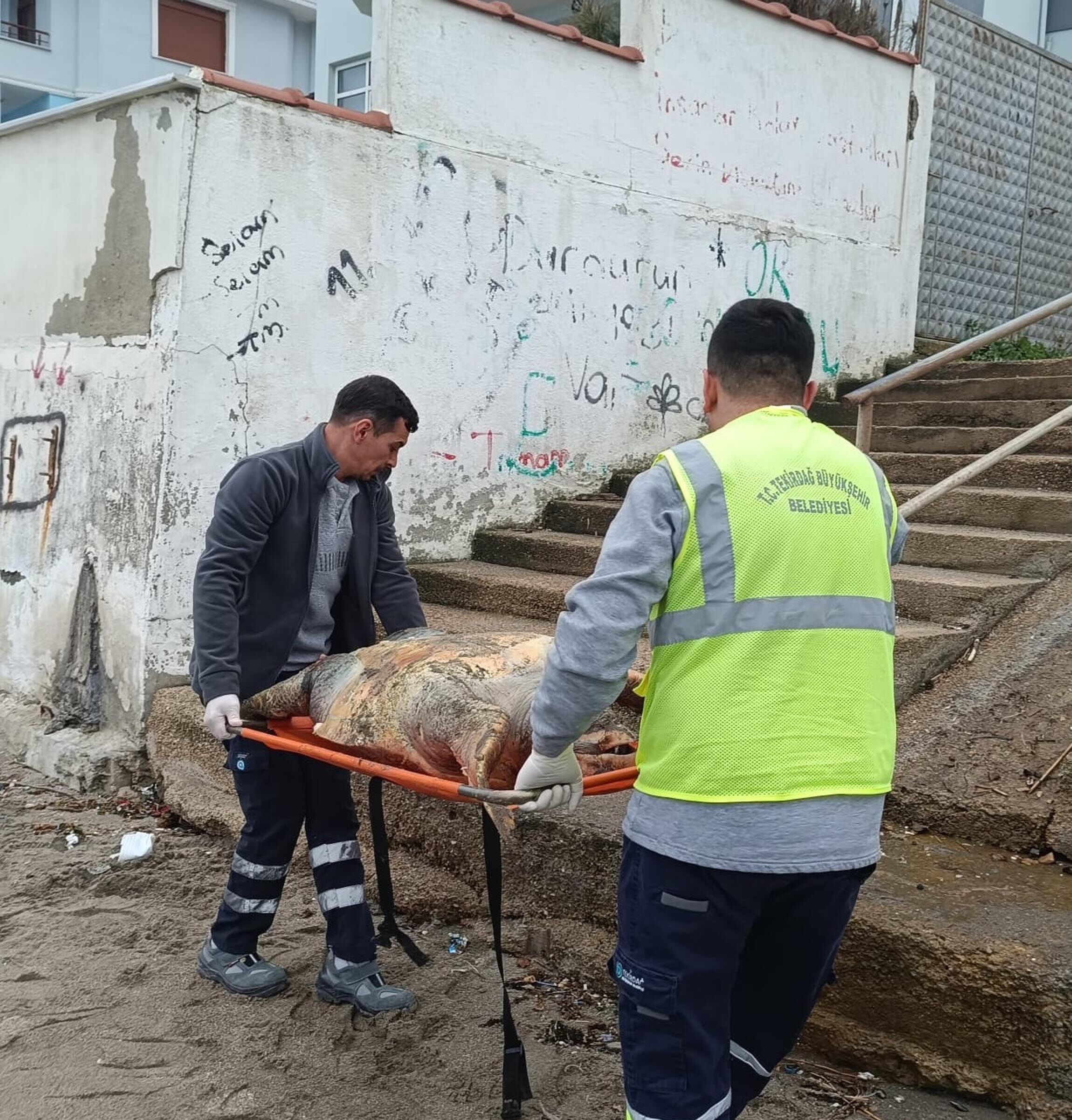 T E K I R D A G D A O L U C A R E T T A C A R E T T A K I Y I Y A V 1234334 367076