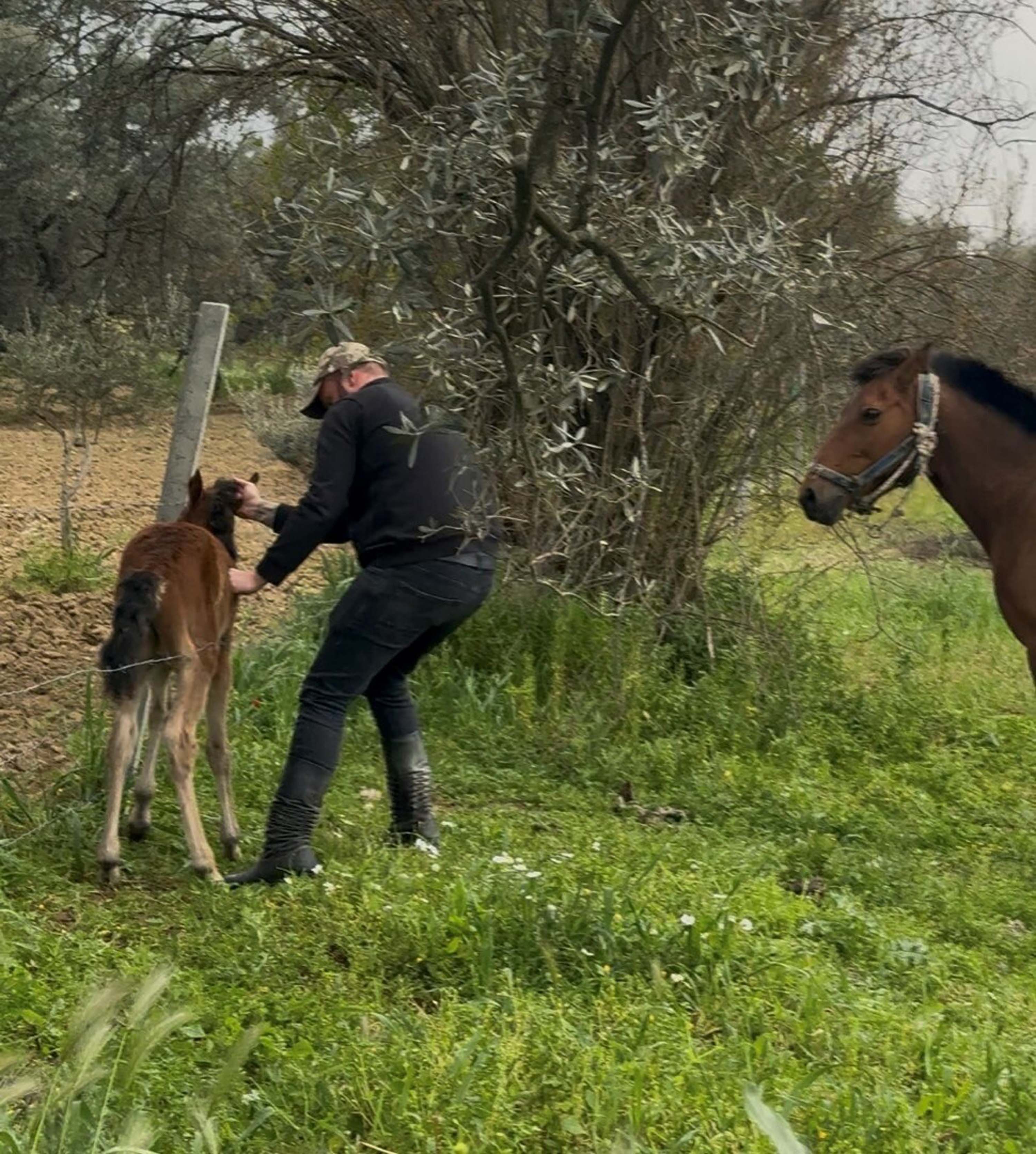 T E L L E R E T A K I L A N T A Y I K U R T A R I P A N N E S I N E K 1233837 366946