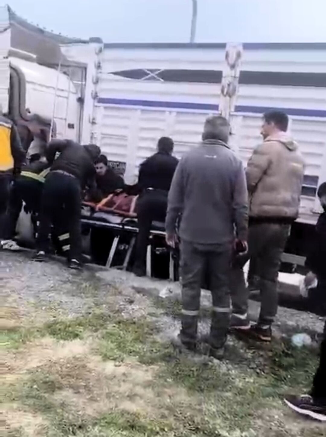 T I R’ I N C A R P T I G I K A D I N A G I R Y A R A L A N D I 1196075 355631