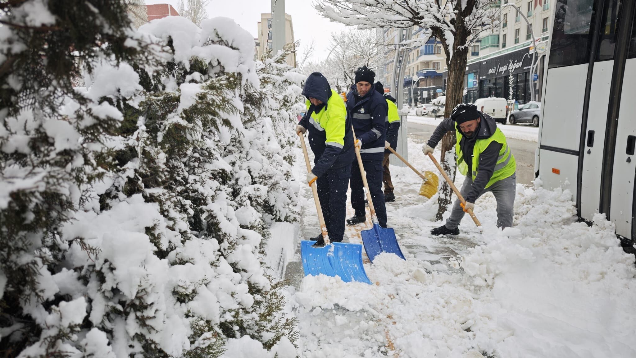 V A N D A 143 Y E R L E S I M Y E R I N I N Y O L U K A R D A N 1200030 356890