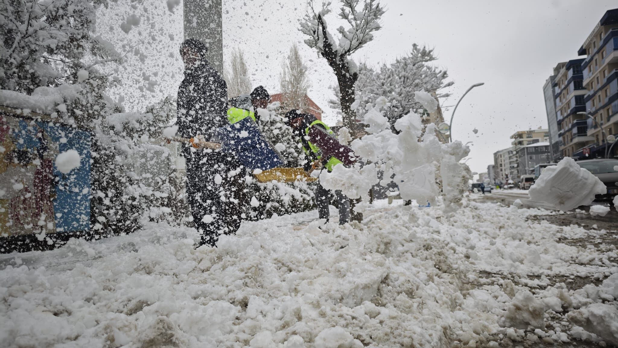 V A N D A 143 Y E R L E S I M Y E R I N I N Y O L U K A R D A N 1200032 356890