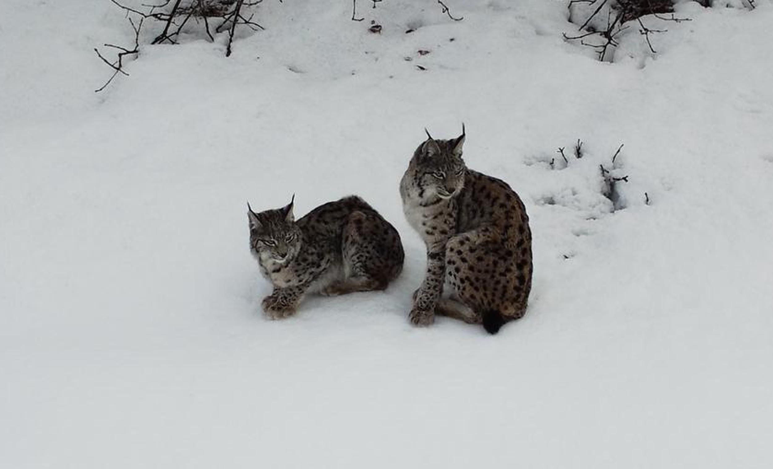 V A S A K A I L E S I D R O N I L E G O R U N T U L E N D I 1196067 355628