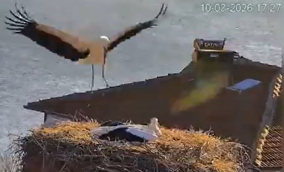 Y A R E N L E Y L E K E S I N A Z L I I L E D E B U L U S T U 1207785 359156