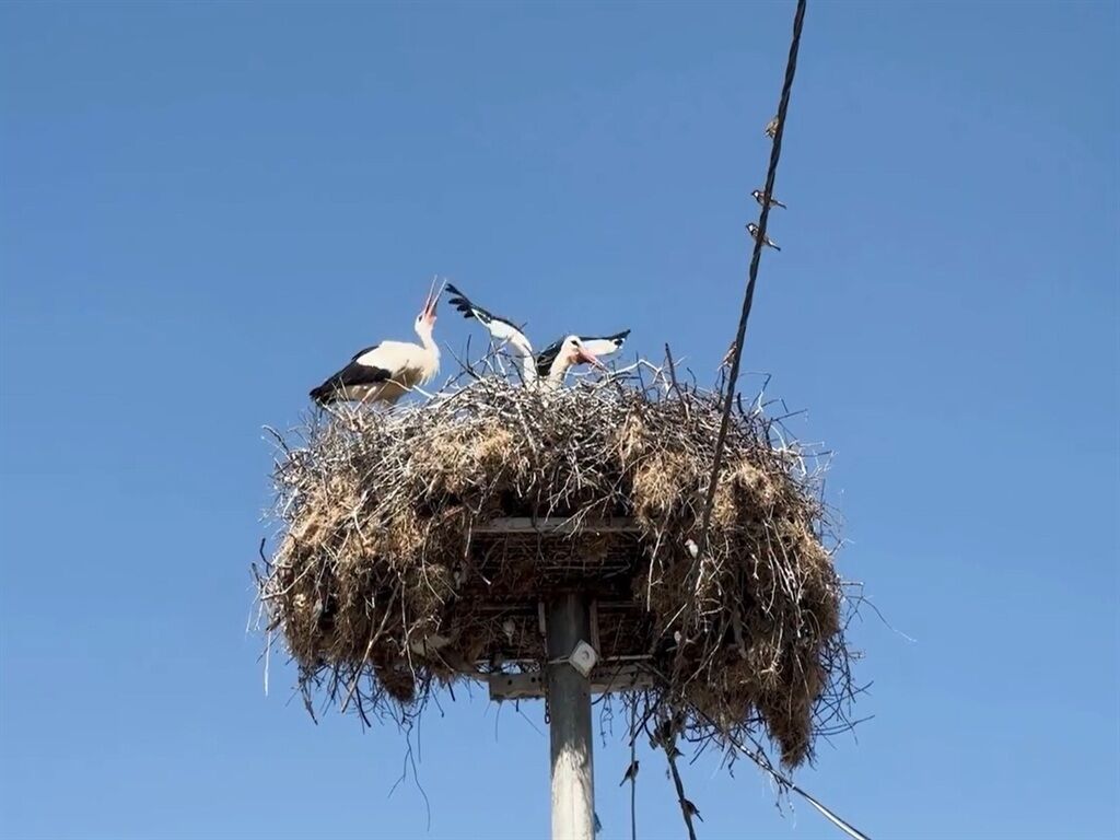 Y A R E N L E Y L E K E S I N A Z L I I L E D E B U L U S T U 1207790 359156