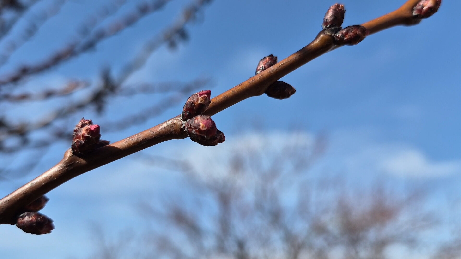 Z I R A I D O N D A N E T K I L E N E N K A Y I S I D A B U Y I L Y 1197974 356255