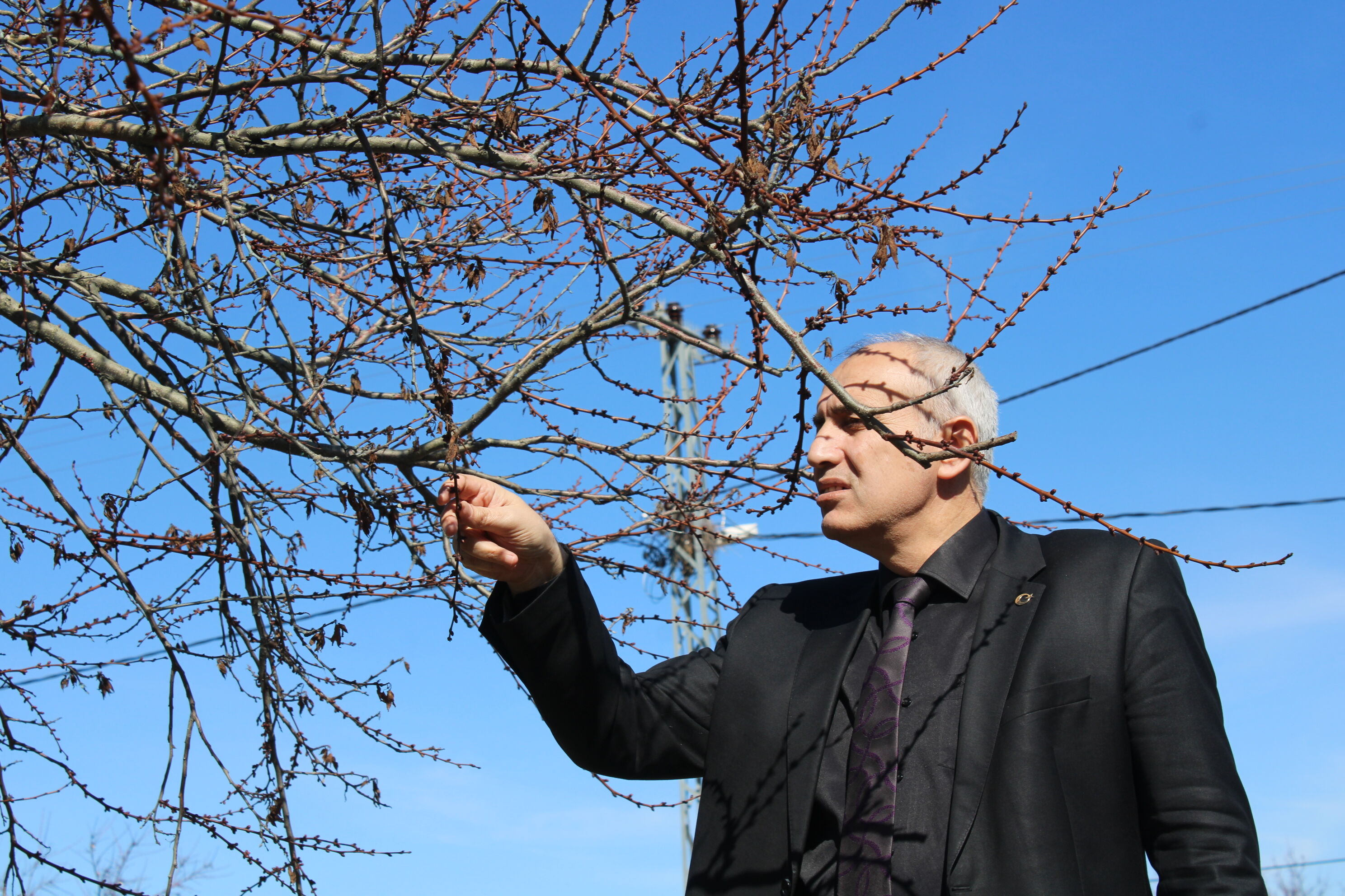 Z I R A I D O N D A N E T K I L E N E N K A Y I S I D A B U Y I L Y 1197976 356255