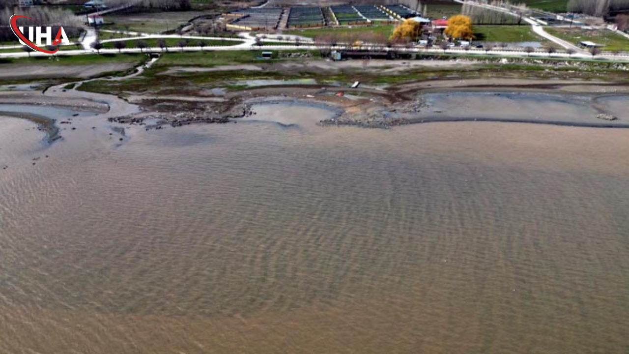 van-gölü-kahverengi