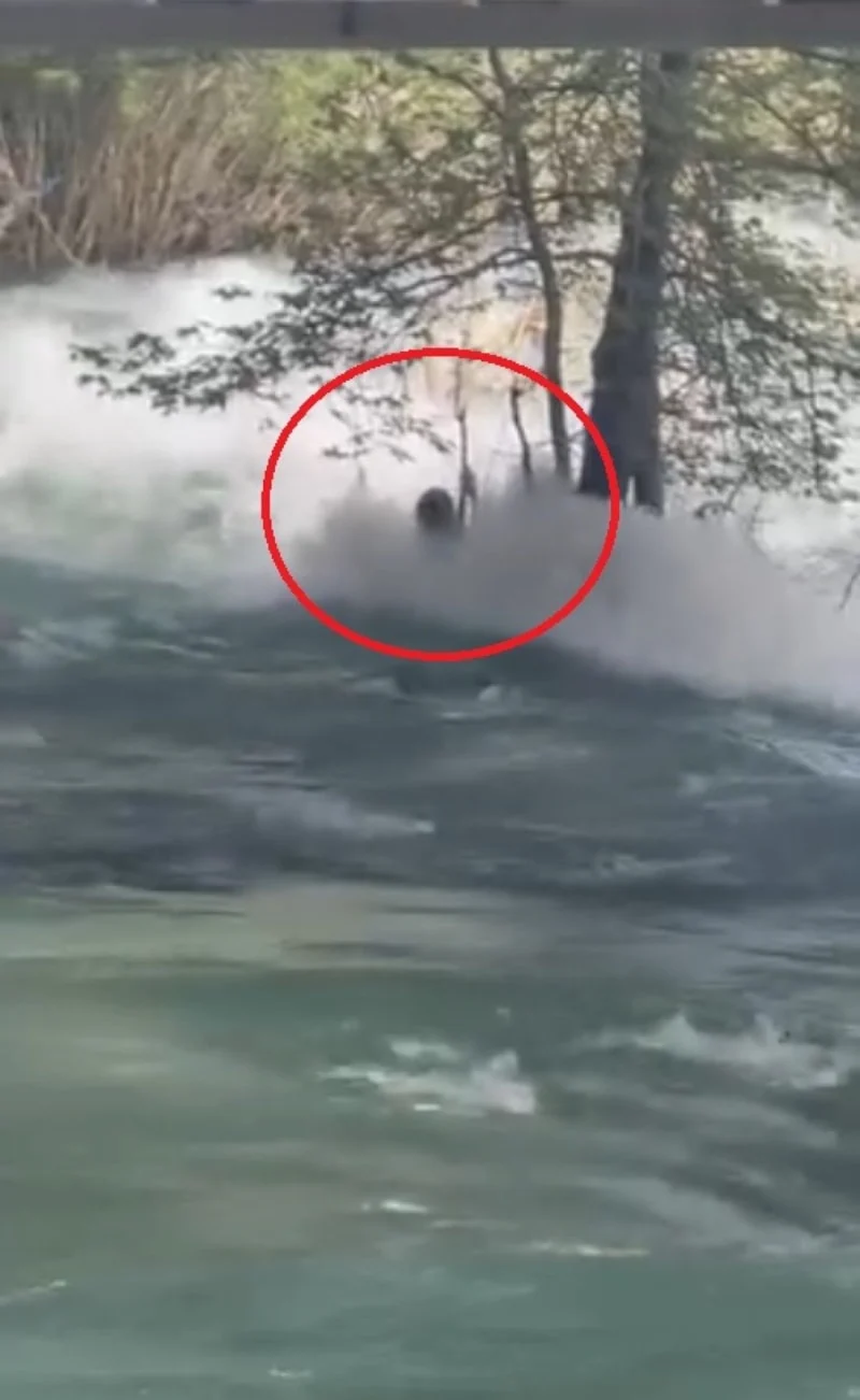 11111Berdan Çayı’na Atlayan Genç