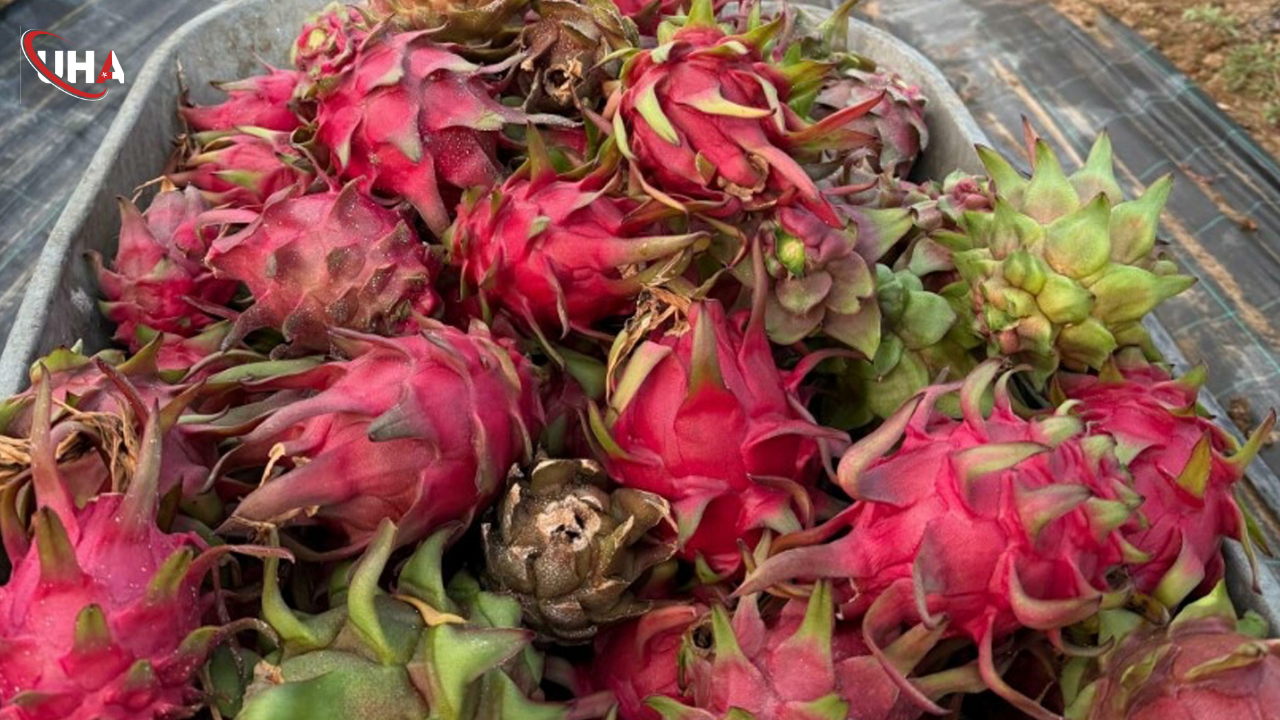 genc-muhendis-yapay-zeka-destekli-sera